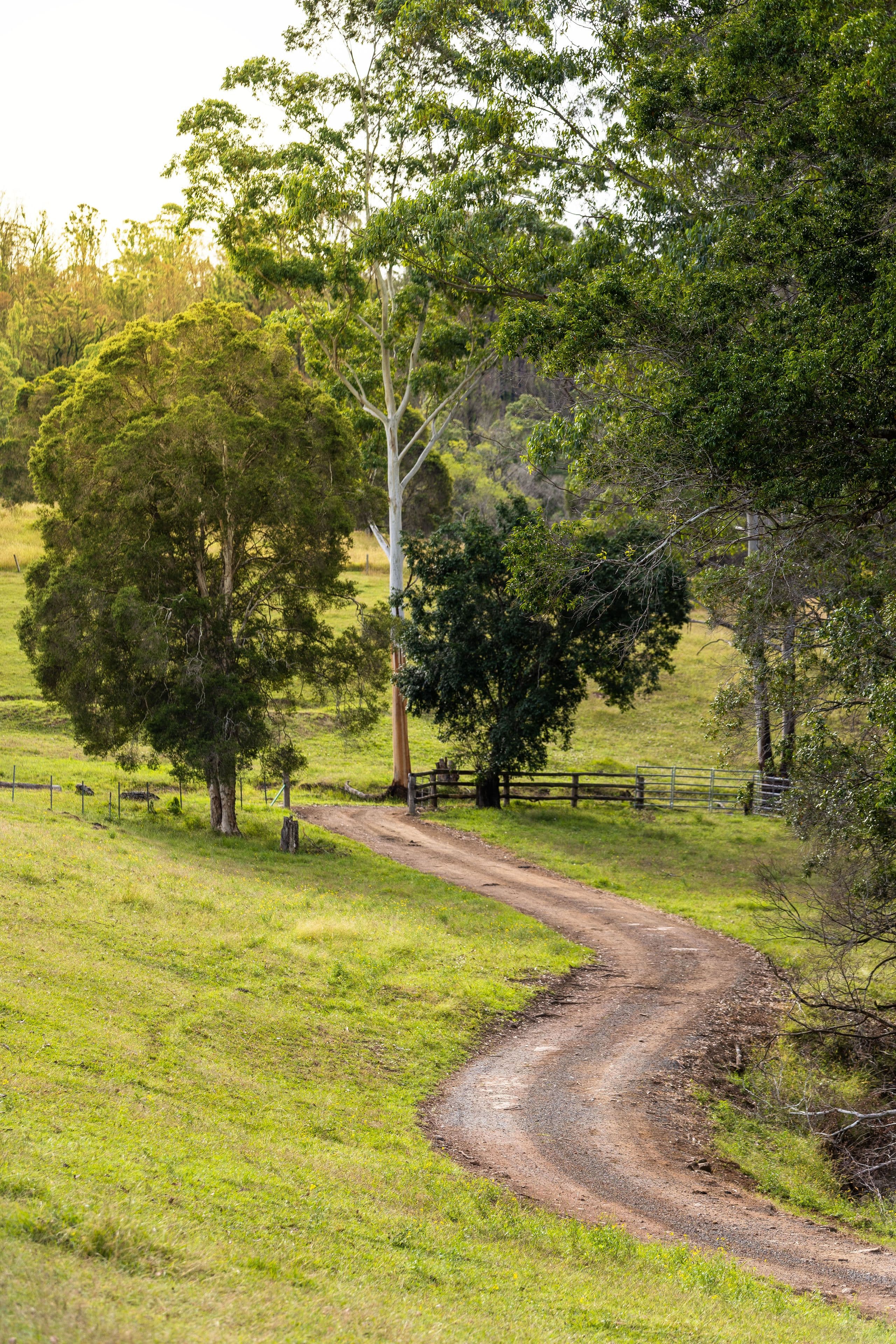 675 Careys Road, Hillville NSW 2430, Hillville - Thumbnail 2