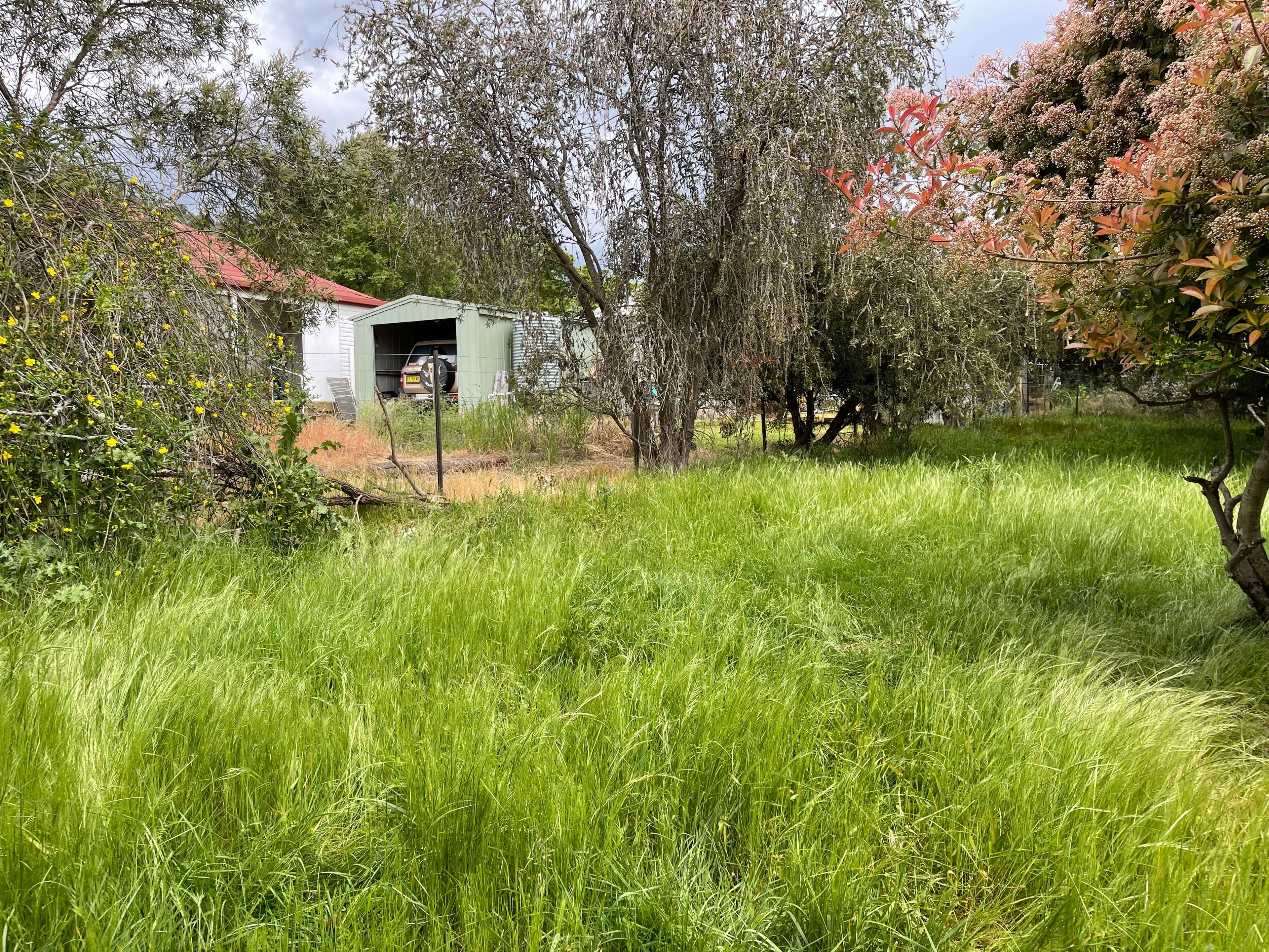 29 William Street, Tumbarumba NSW 2653, Tumbarumba - Thumbnail 8