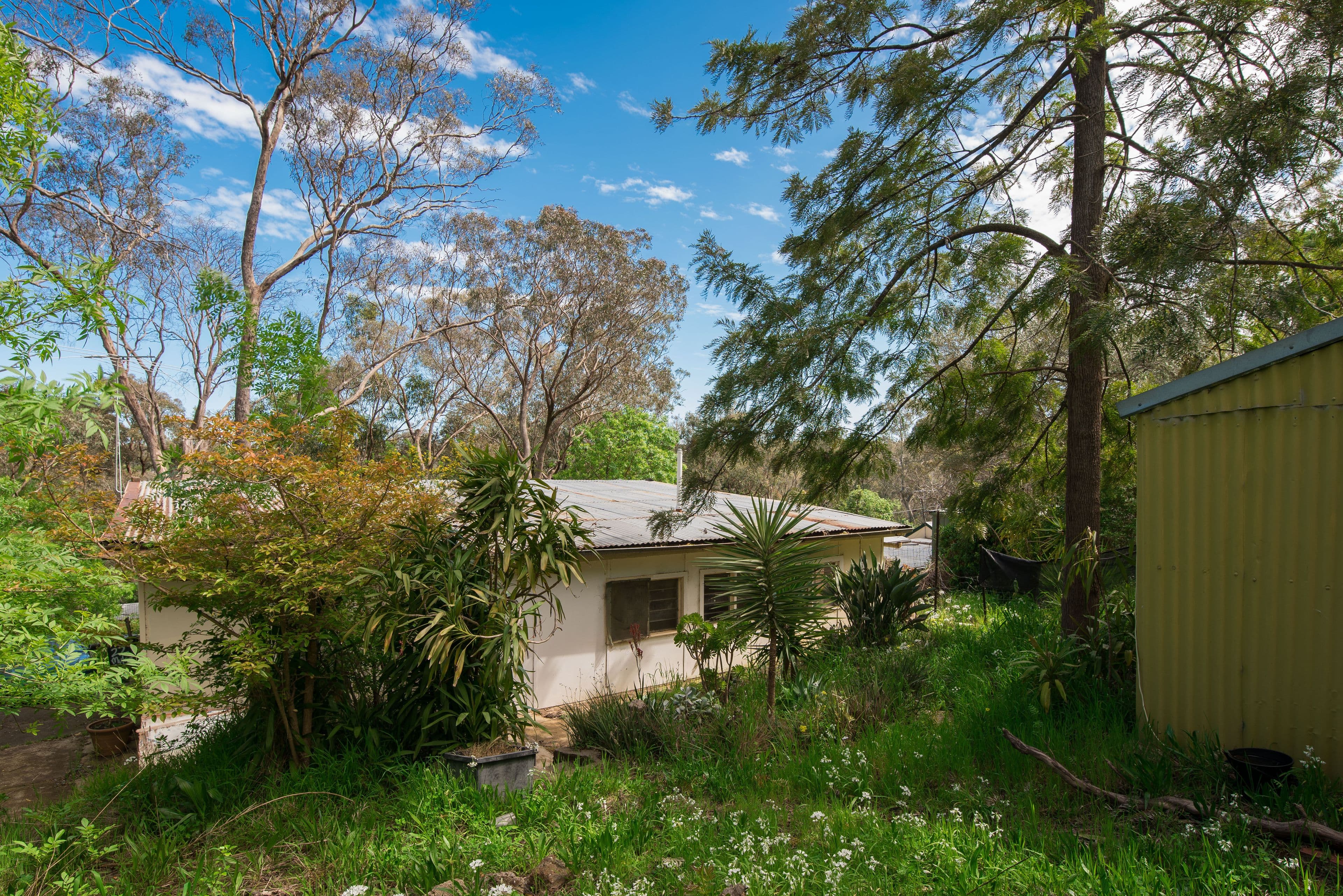 22 Mulga Road, Hawthorndene SA 5051, Hawthorndene - Thumbnail 5