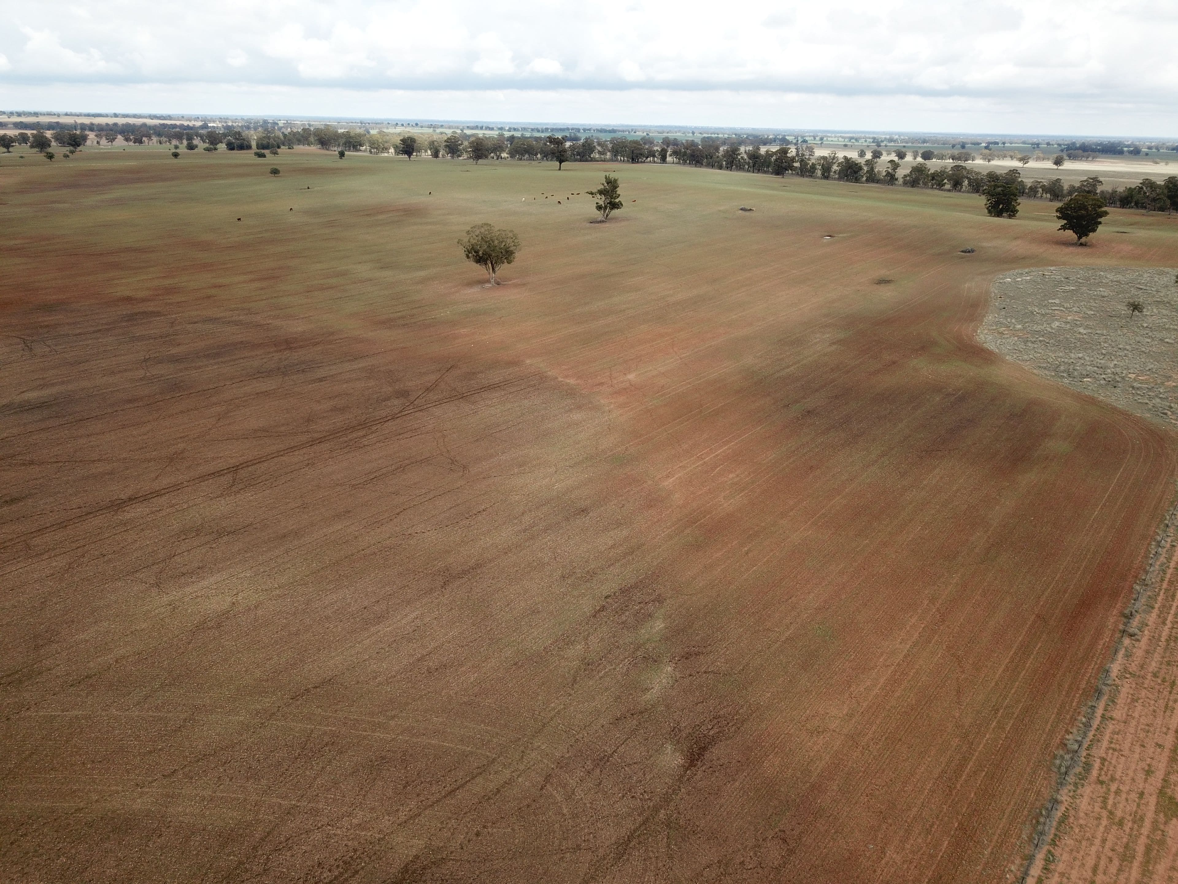 1020 Eumungerie Road, Dubbo NSW 2830, Dubbo - Thumbnail 8