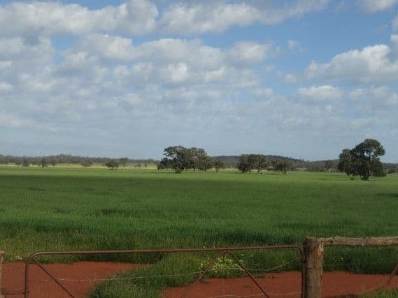 Kalinga 4488 Kiacatoo Road, Condobolin NSW 2877, Condobolin - Thumbnail 8