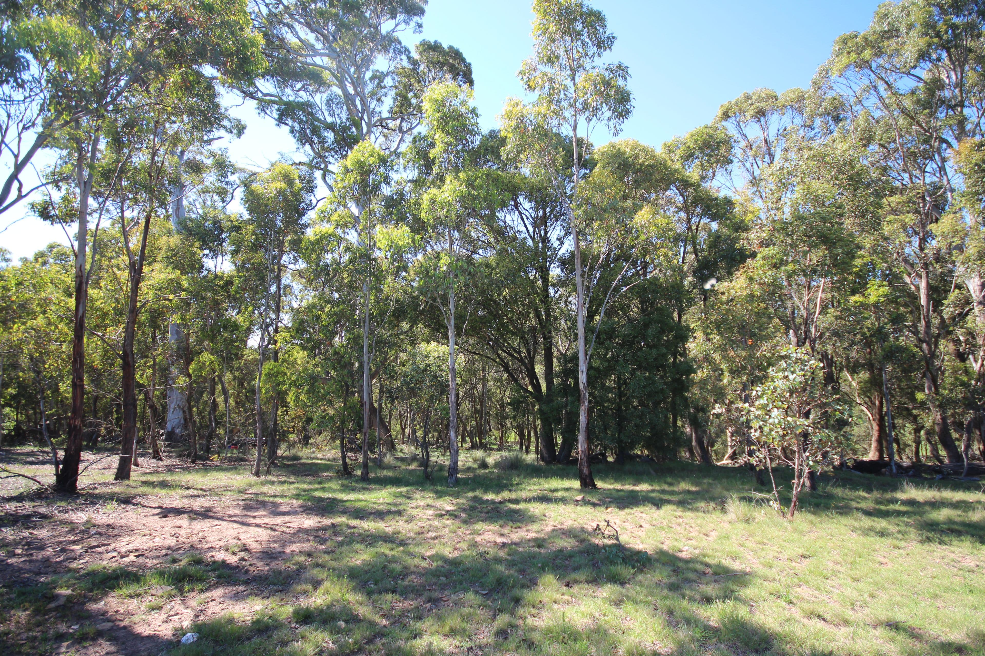 31 Marks Crescent, Oberon NSW 2787, Oberon - Thumbnail 7