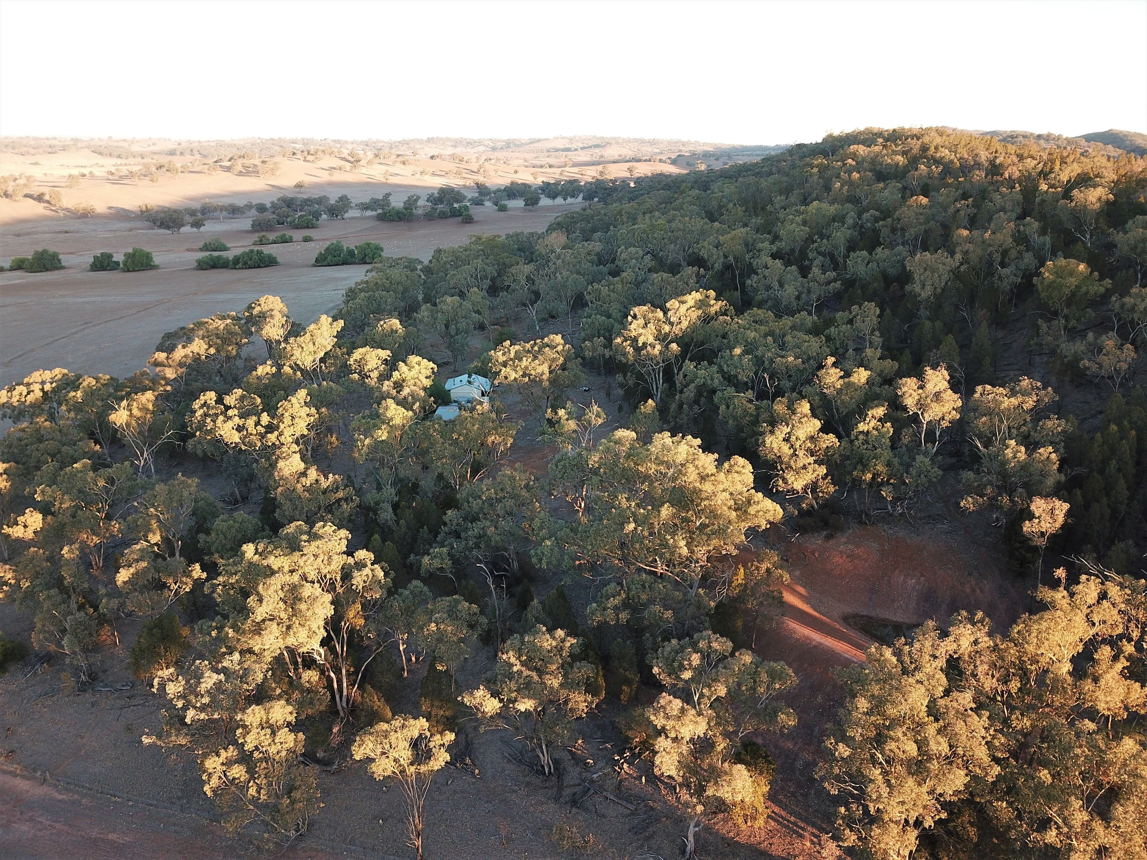 'Fox Hill' 573 Blathery Creek Road, Neurea NSW 2820, Neurea - Thumbnail 4