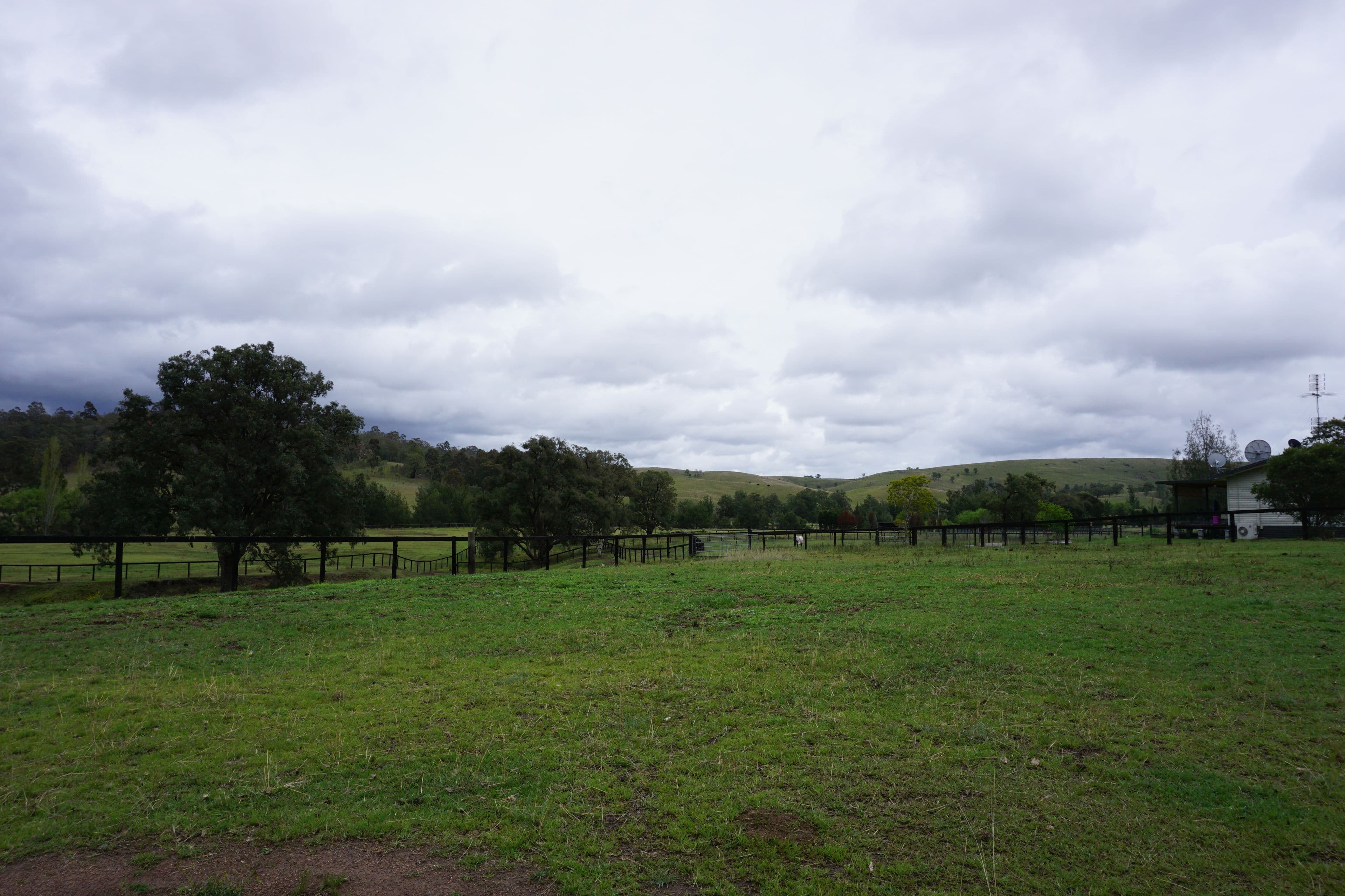 1475 Mirannie Road, Singleton NSW 2330, Singleton - Thumbnail 4