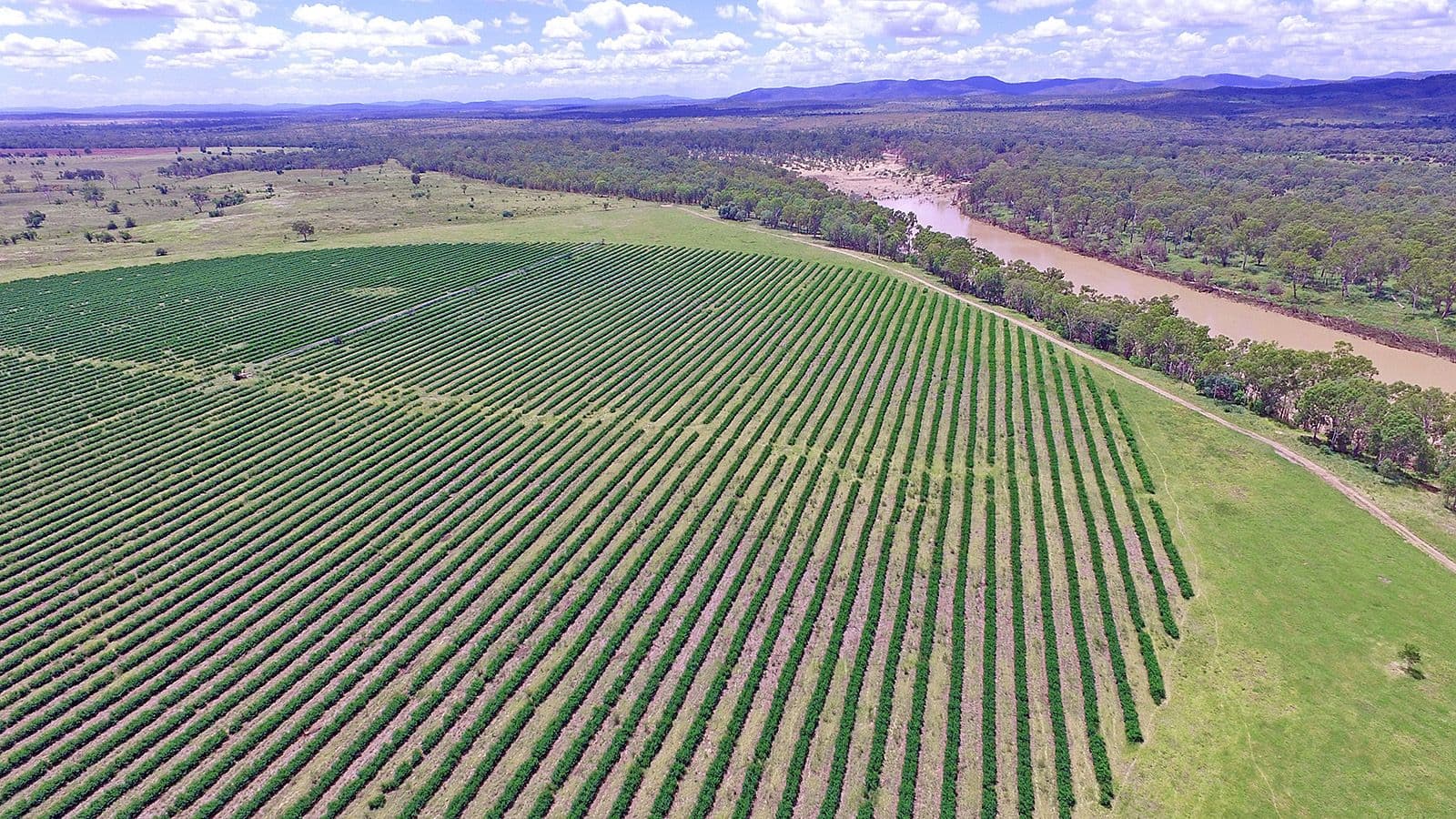"Comanche"1820 Comanche Road, Glenroy QLD 4702, Glenroy - Thumbnail 6