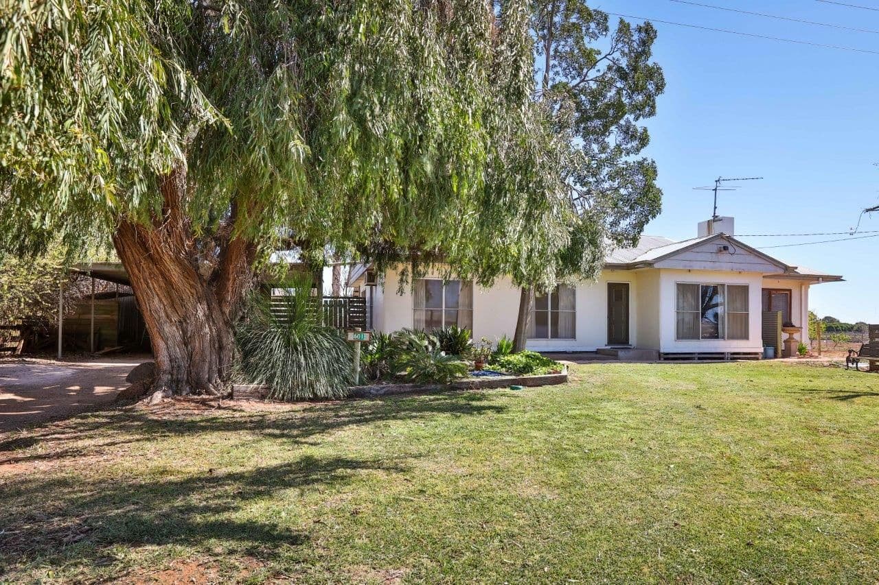 601 Irymple Avenue, Irymple VIC 3498, Irymple - Thumbnail 2