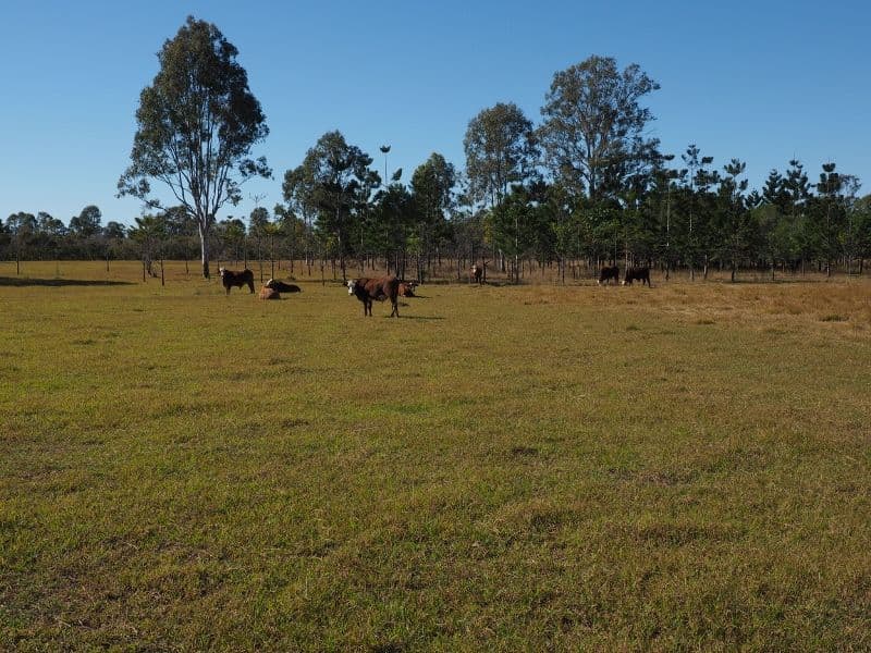 74 Glenbar Road, ST MARY QLD 4650, St Mary - Thumbnail 6