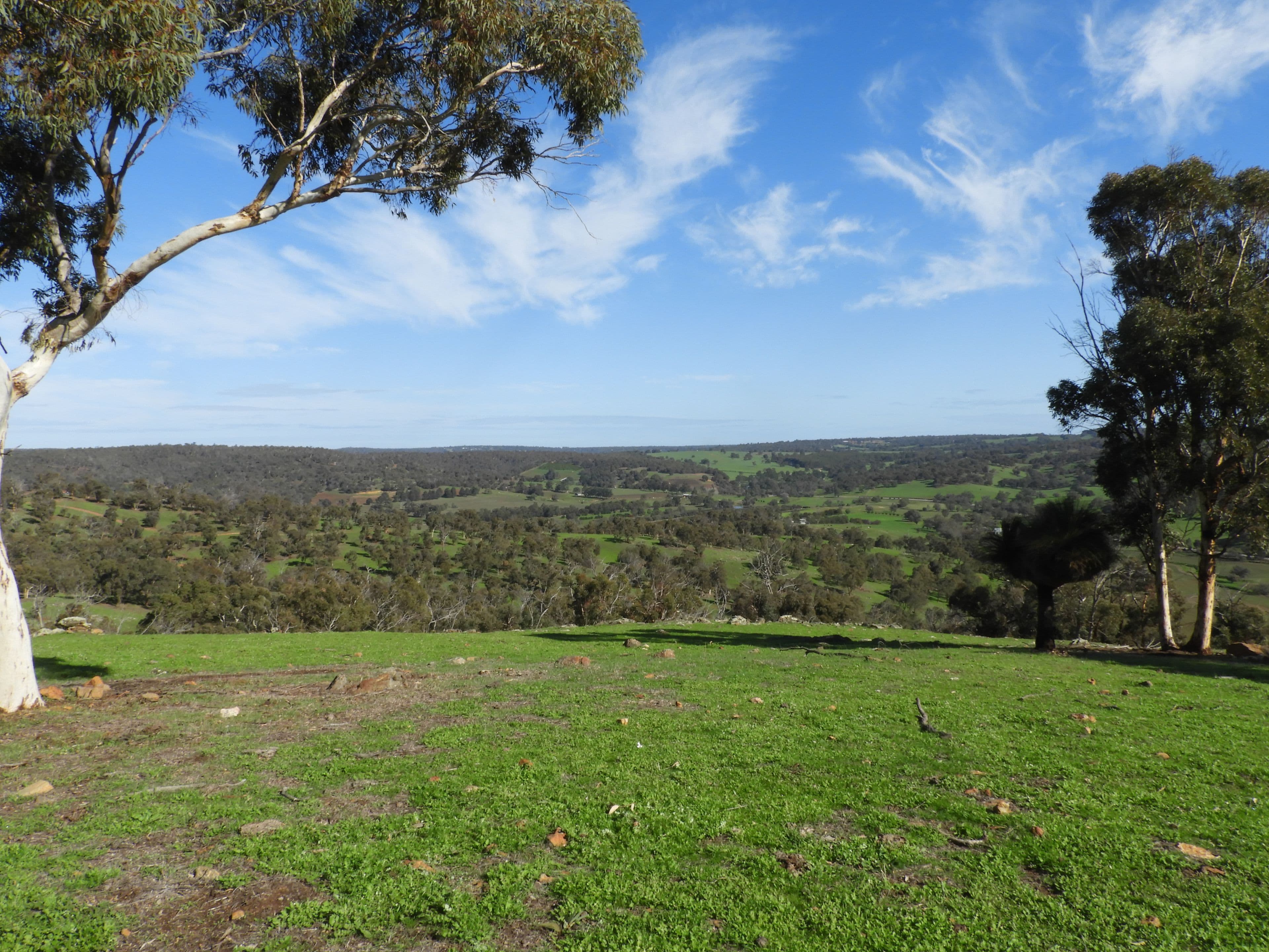 712 Davis Road, Chittering WA 6084, Chittering - Thumbnail 7