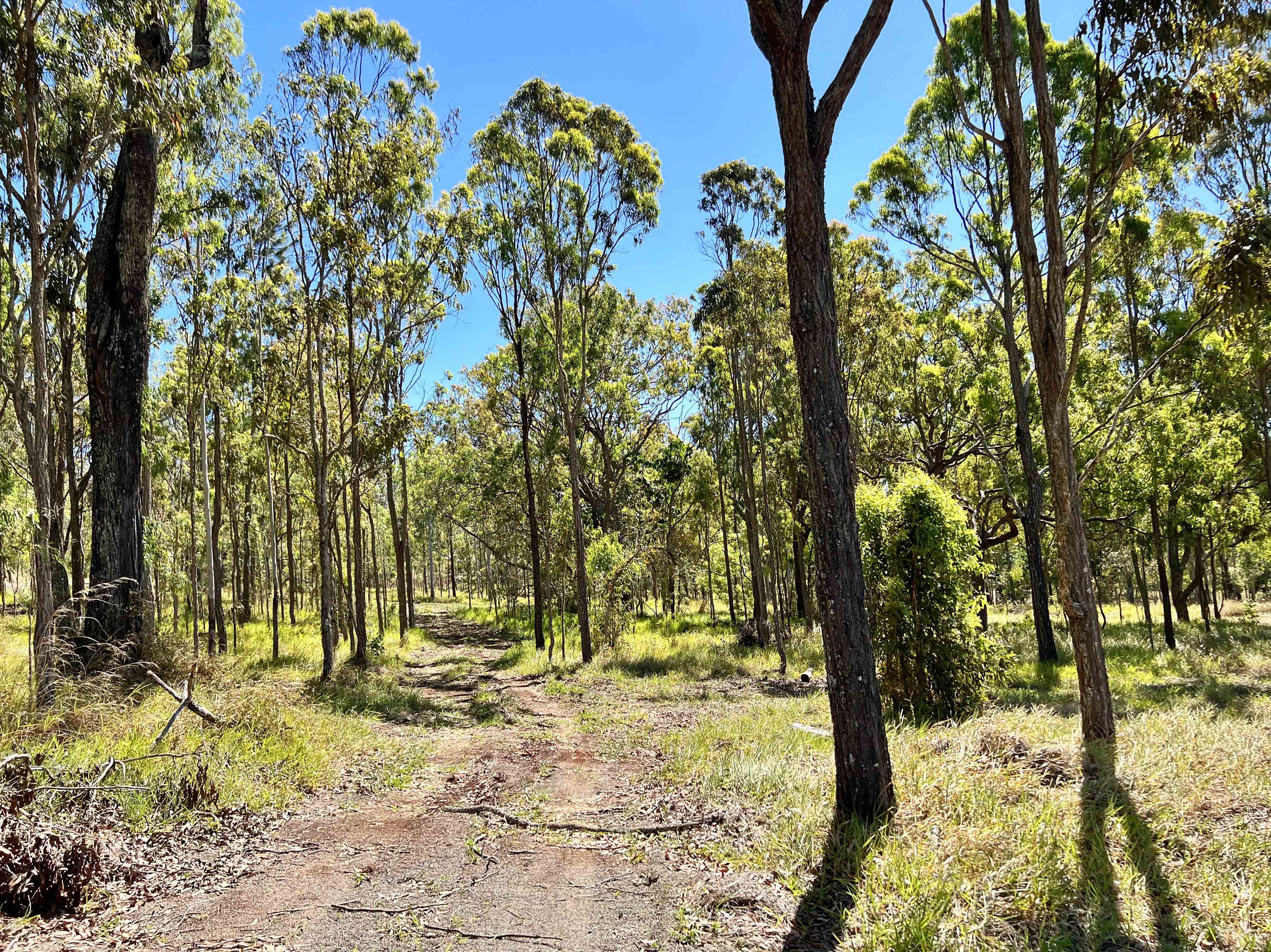 Tolga QLD 4882, Tolga - Thumbnail 4