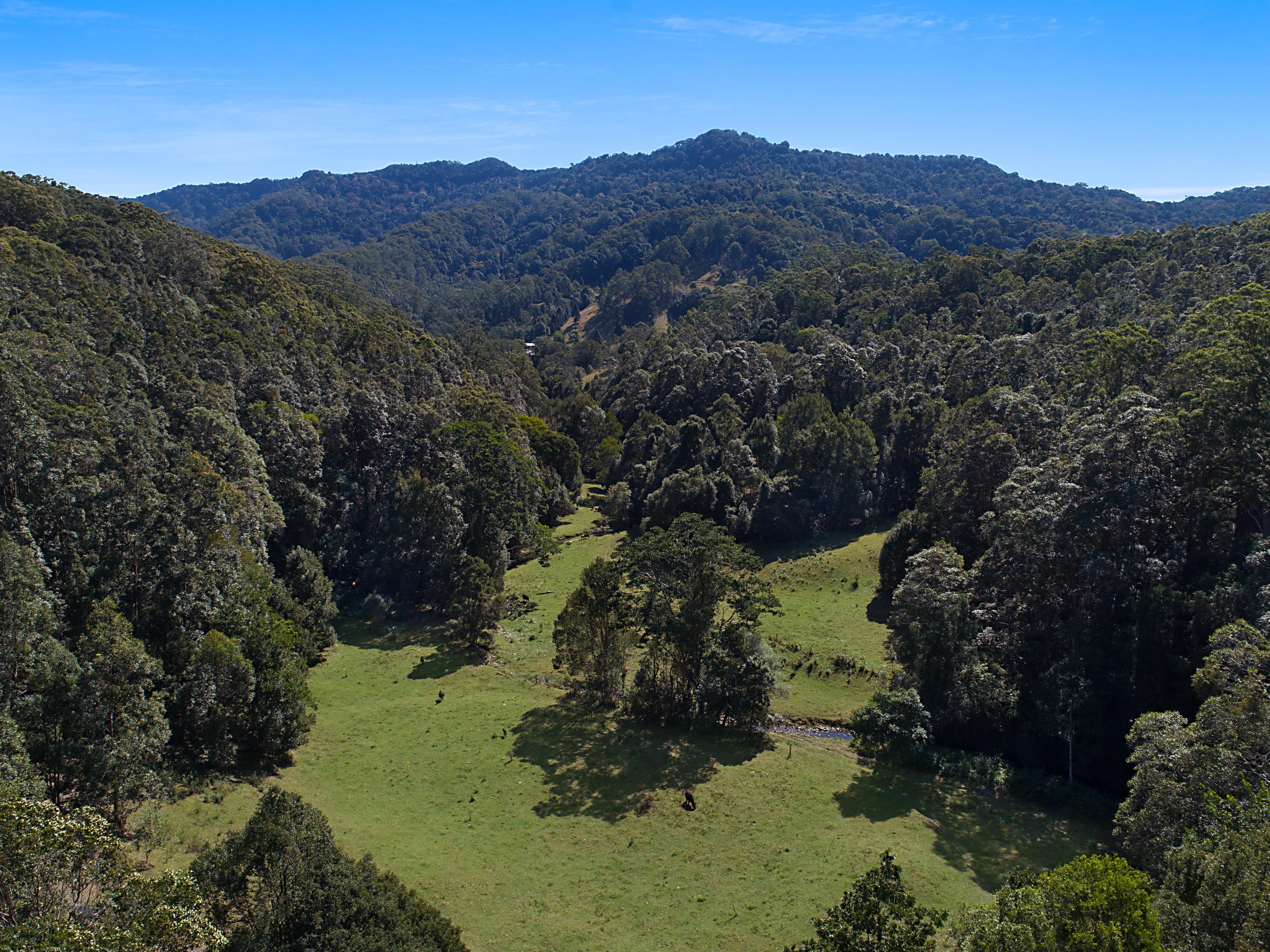 679 Urliup Road, Urliup NSW 2484, Urliup - Thumbnail 7