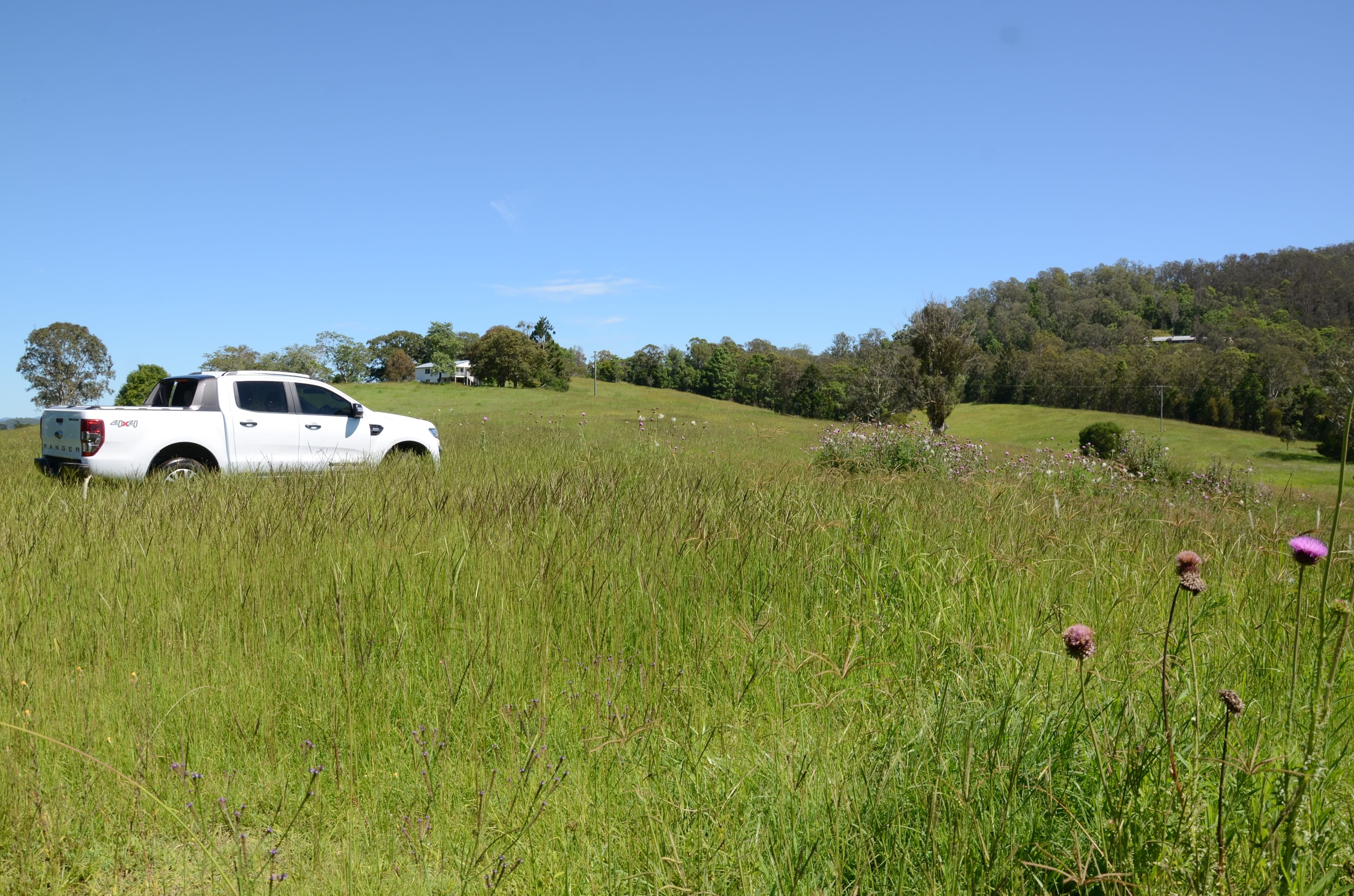 1197 Kenilworth Skyring Creek Road, Tuchekoi QLD 4570, Tuchekoi - Thumbnail 4