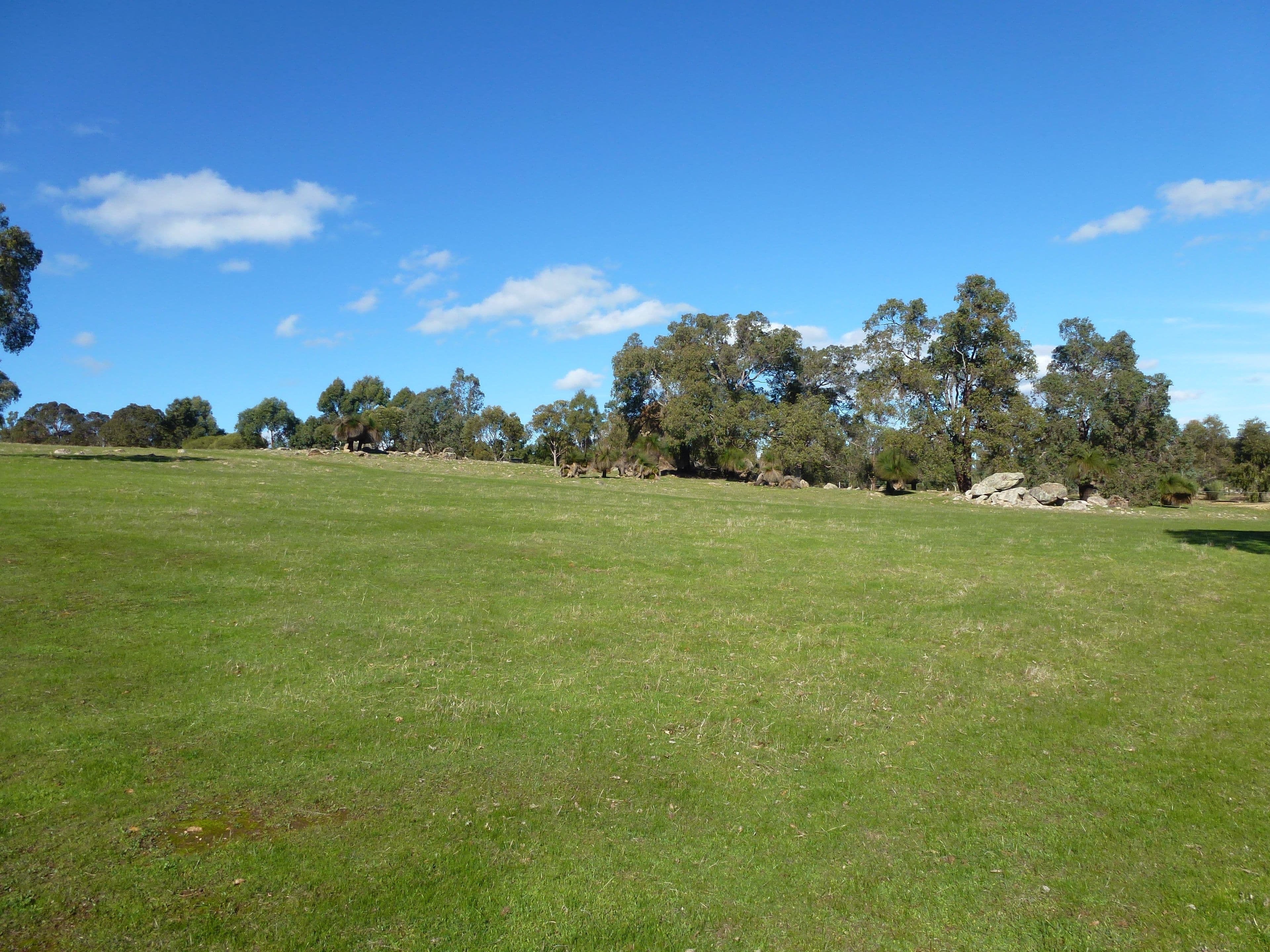75 Fraser Road, Bullsbrook WA 6084, Bullsbrook - Thumbnail 4