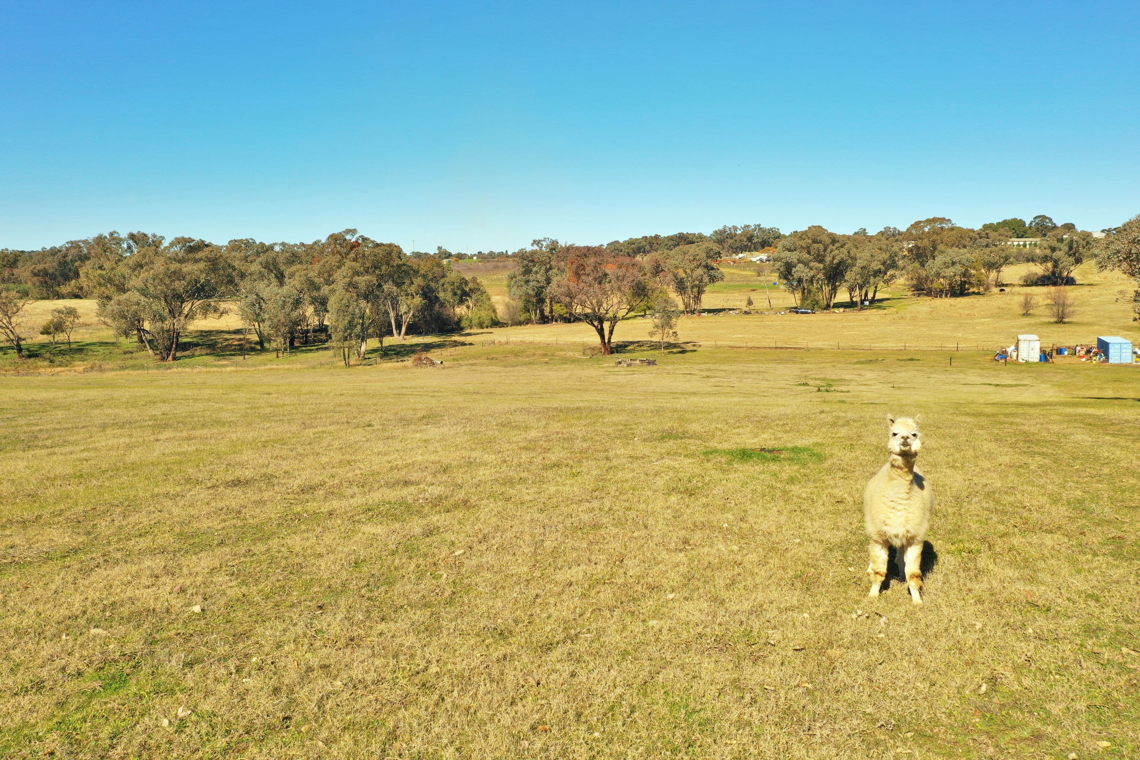 Lot 1986 Reynolds Lane, Young NSW 2594, Young - Thumbnail 7