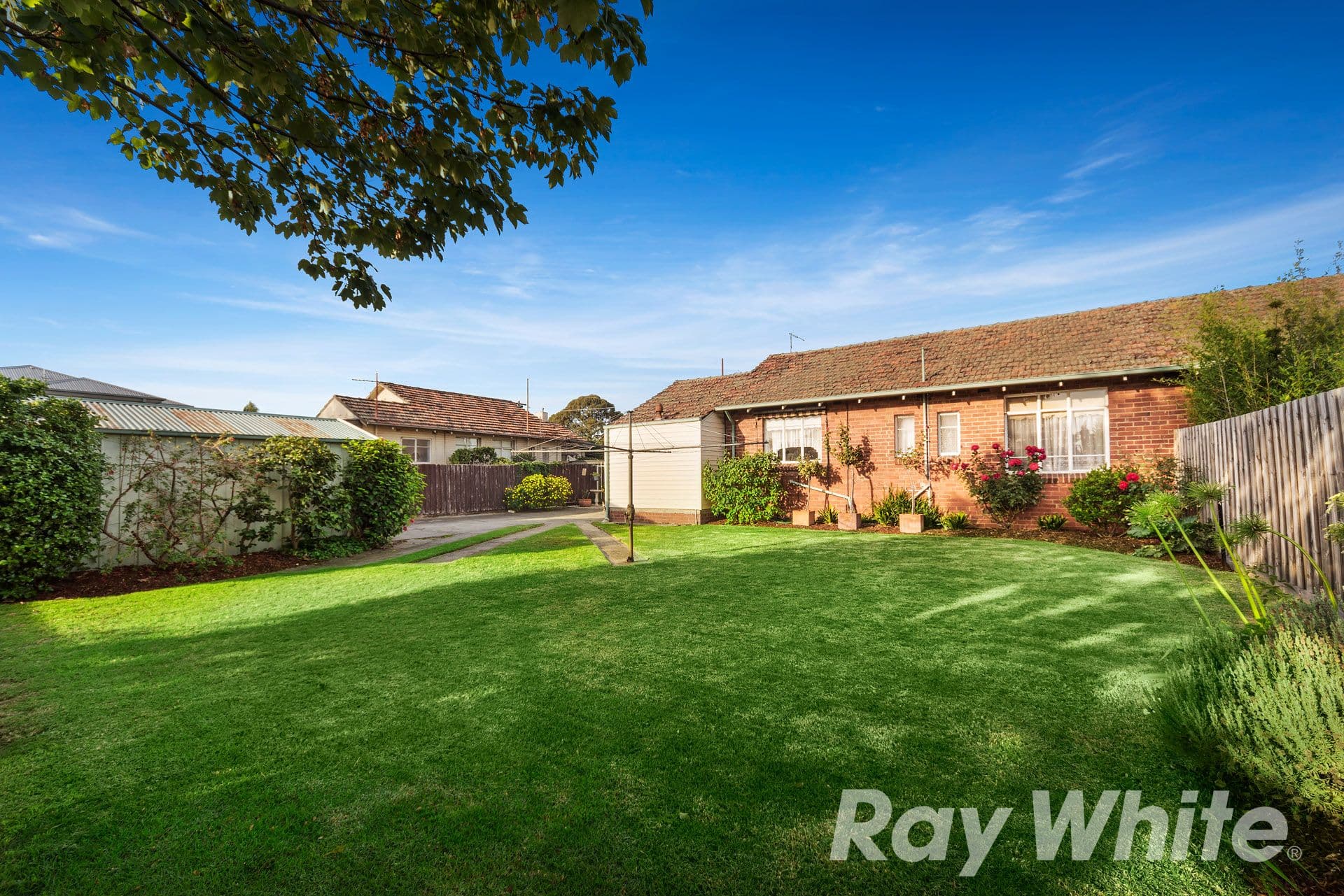 65 Porter Road, Heidelberg Heights VIC 3081, Heidelberg Heights - Thumbnail 3