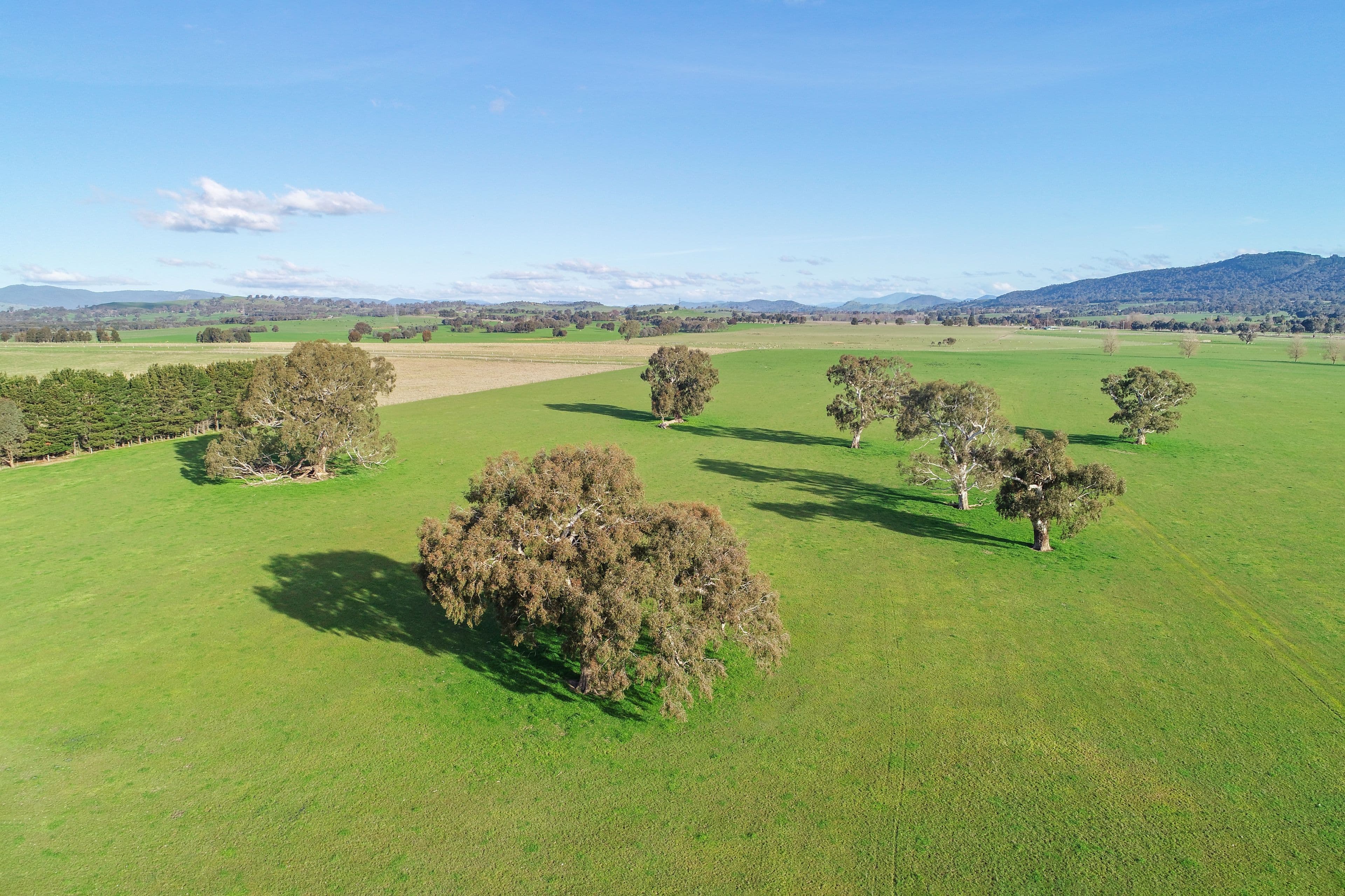 Lot 2 Mt Buller & Lot 3 Pollards, Mansfield VIC 3722, Mansfield - Thumbnail 2
