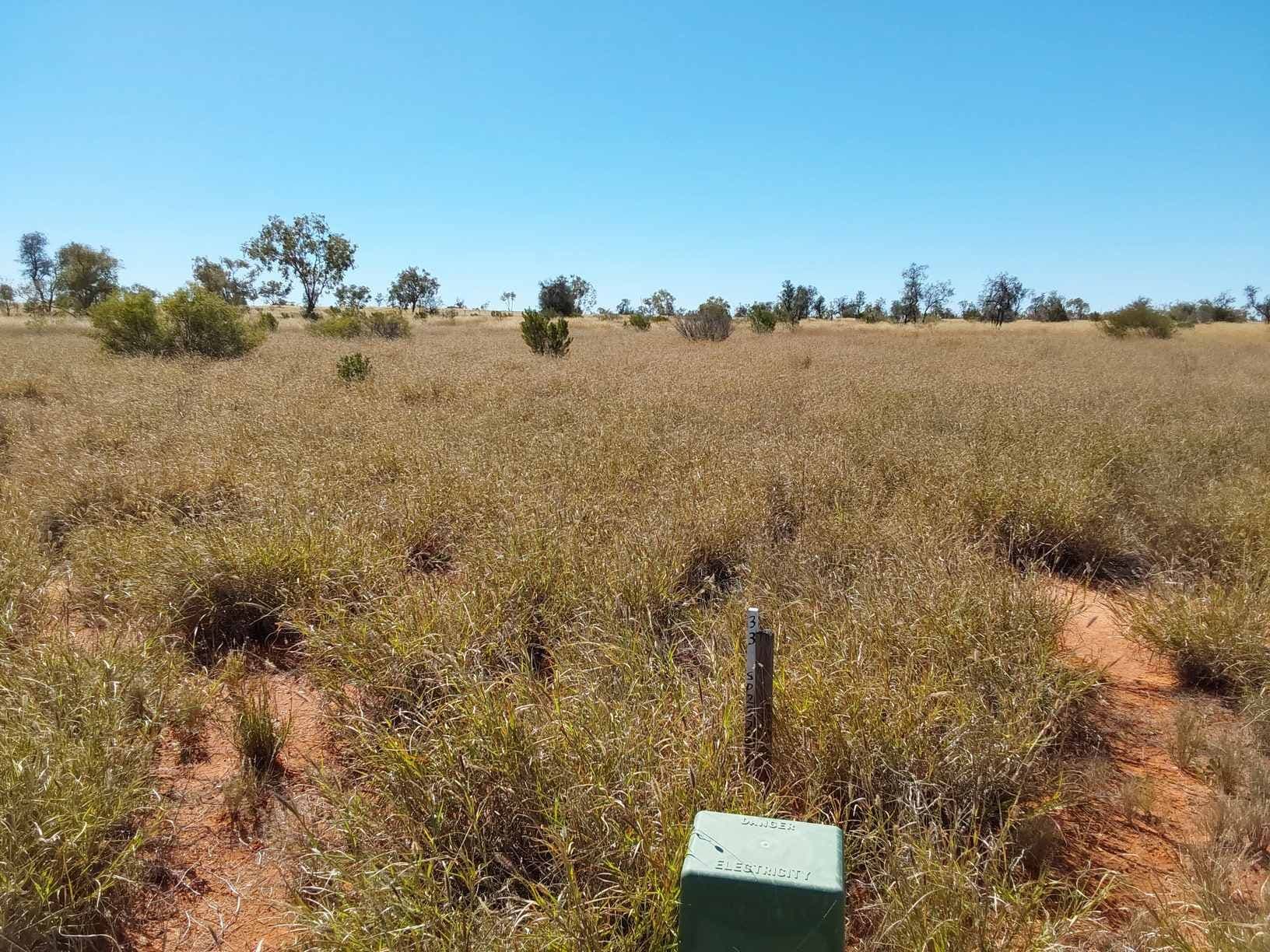 11 Cecil Street, Windorah QLD 4481, Windorah - Thumbnail 2