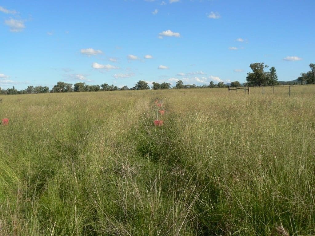 " Box Hill", BINGARA NSW 2404, Bingara - Thumbnail 3
