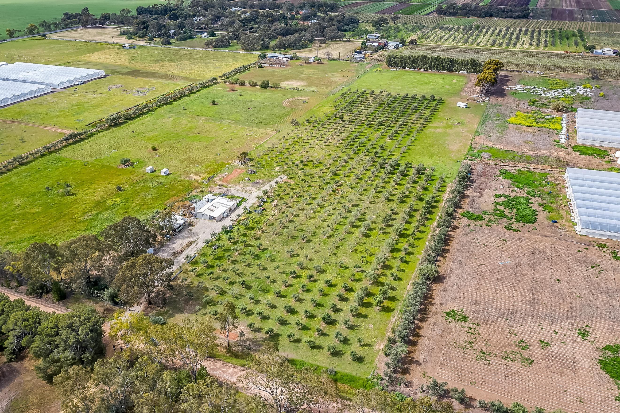 1659 Boundary Road, Gawler River SA 5118, Gawler River - Thumbnail 3