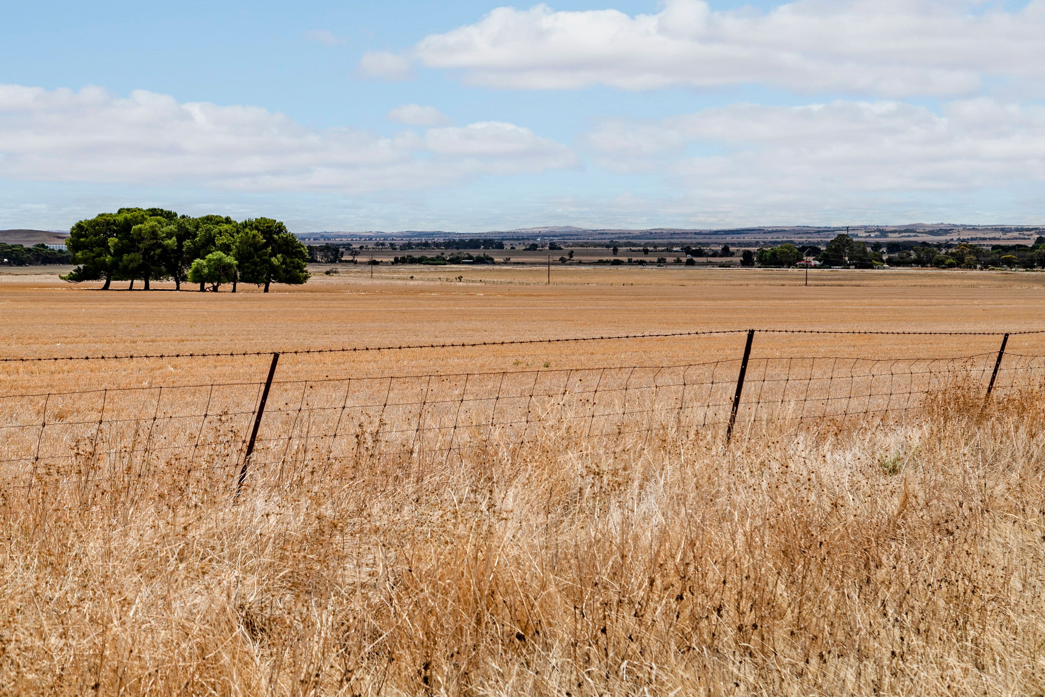 'North' Jones Road, Redhill SA 5521, Redhill - Thumbnail 4