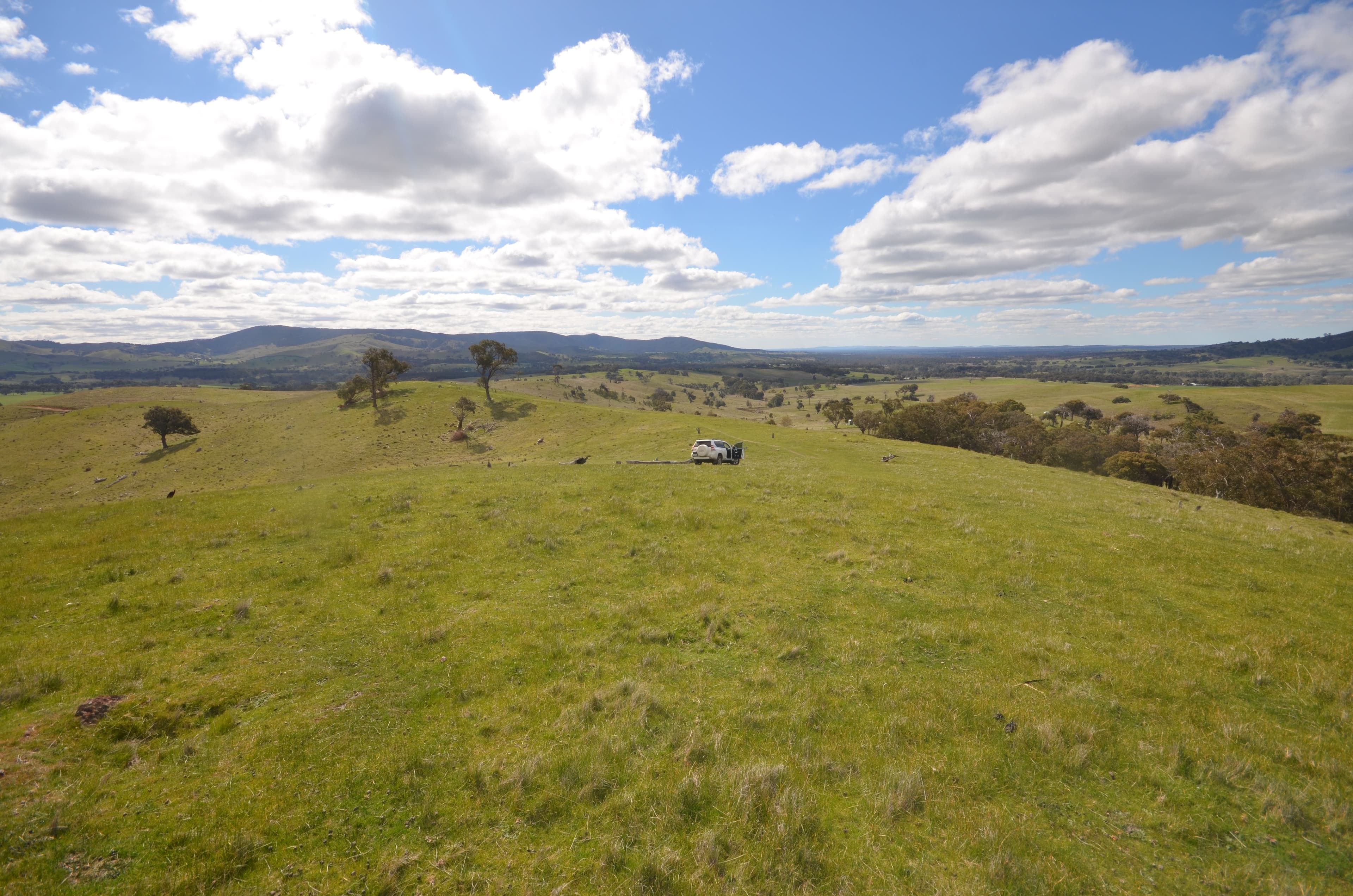 CA 209 Townsing Road, AMPHITHEATRE VIC 3468, Amphitheatre - Thumbnail 8