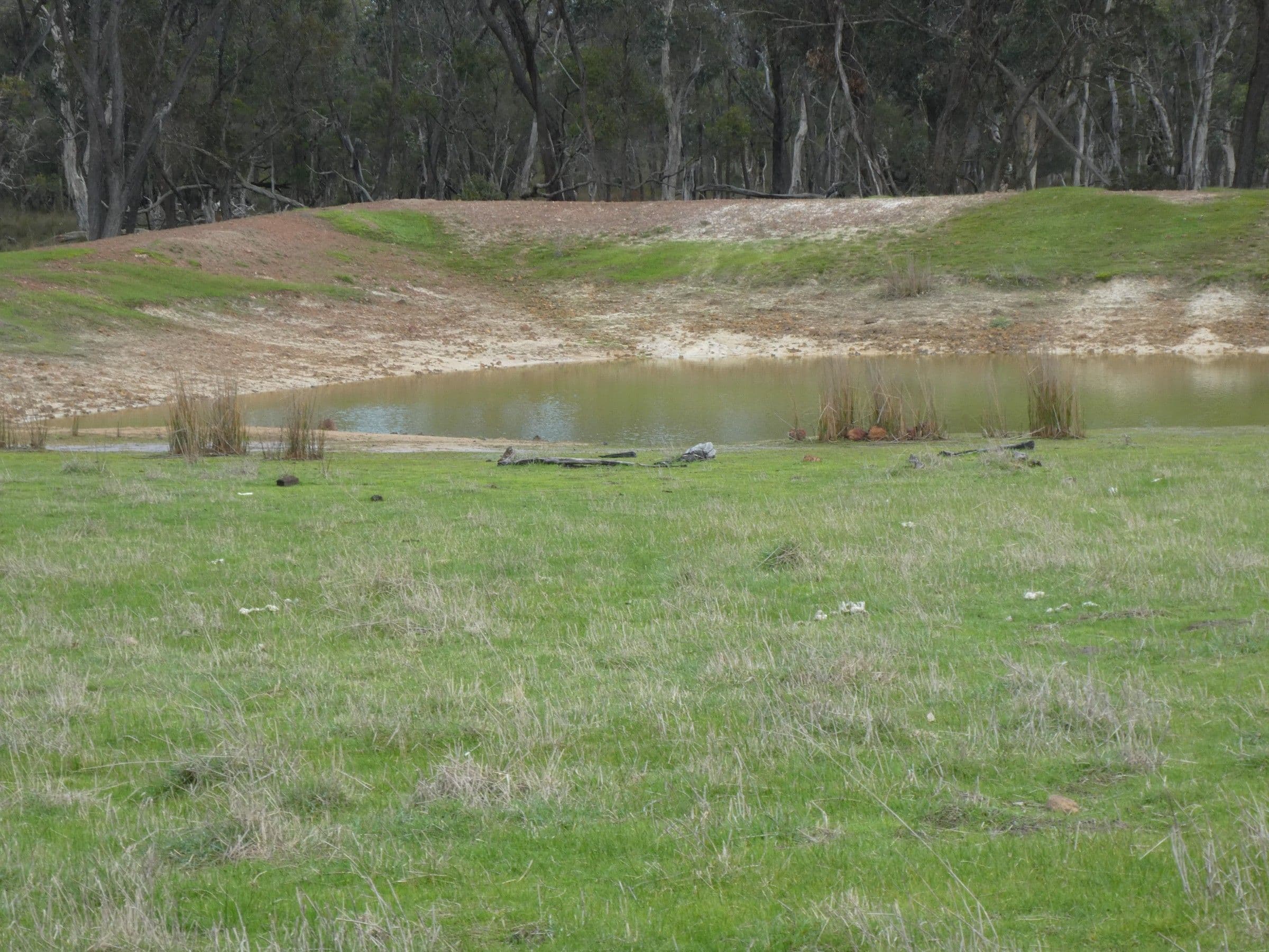 Lot 2249 Rocky Gully Road, Rocky Gully WA 6397, Rocky Gully - Thumbnail 3