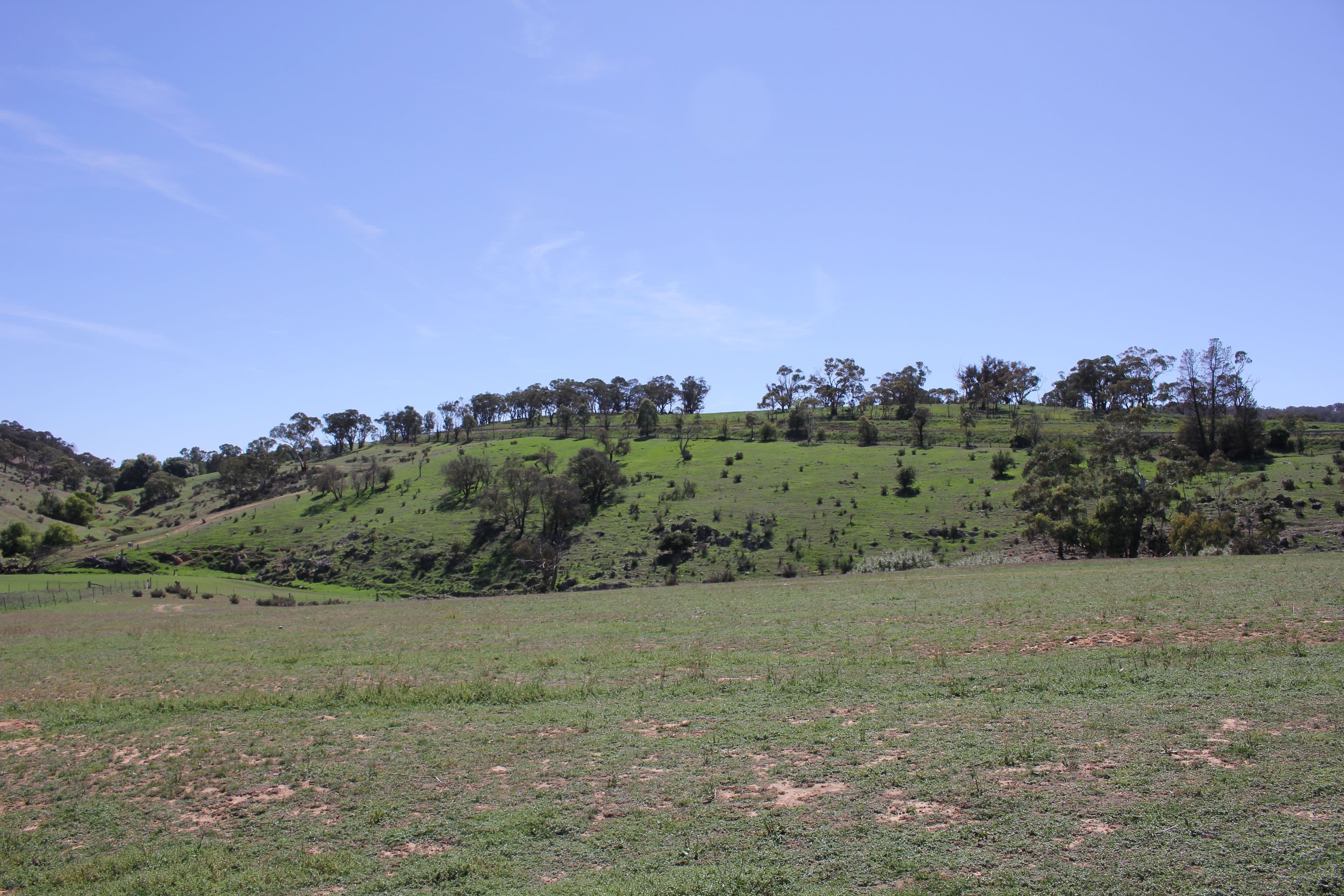 Rockley NSW 2795, Rockley - Image 1