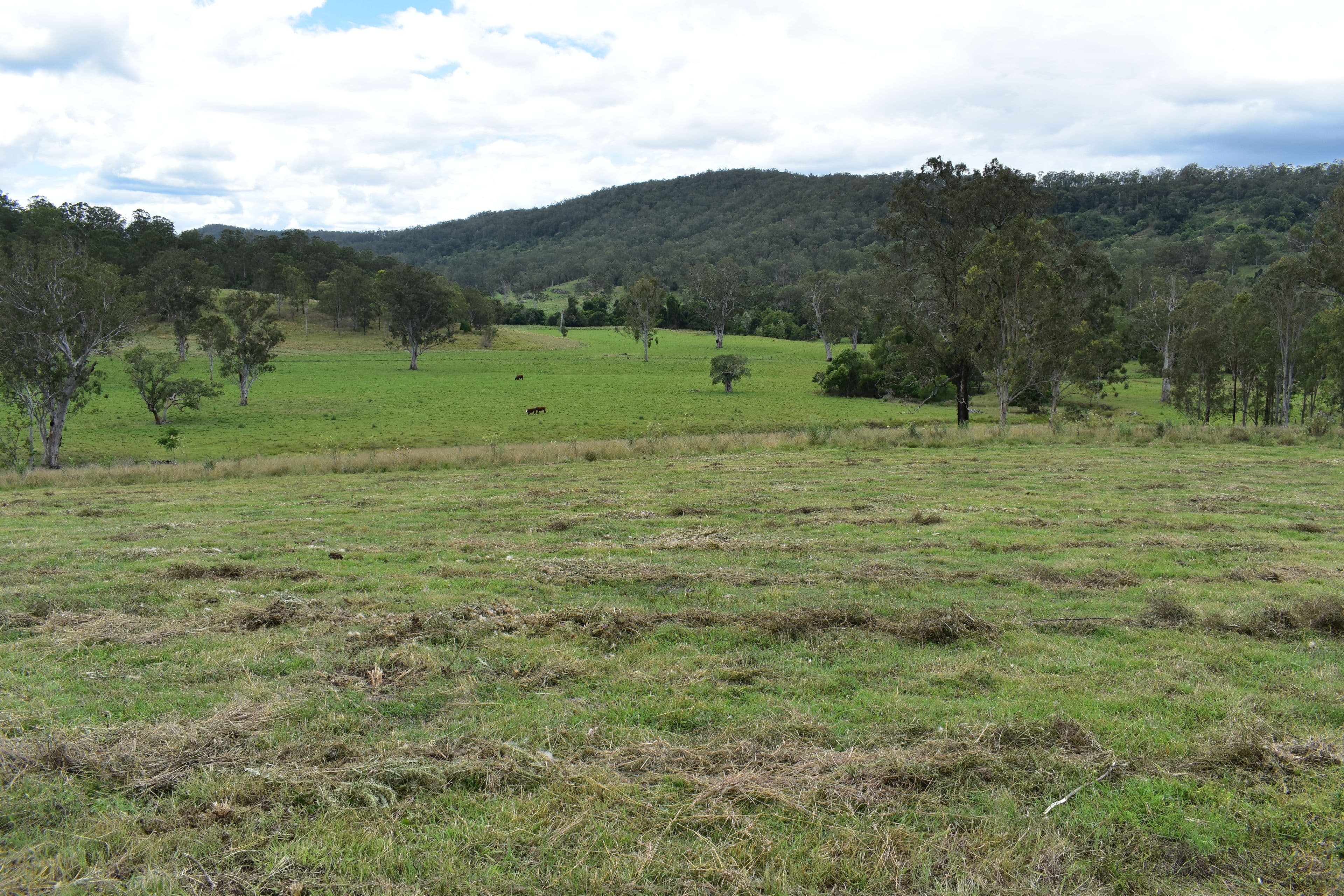 135C Bungabbee Road, Bungabbee NSW 2480, Bungabbee - Thumbnail 6