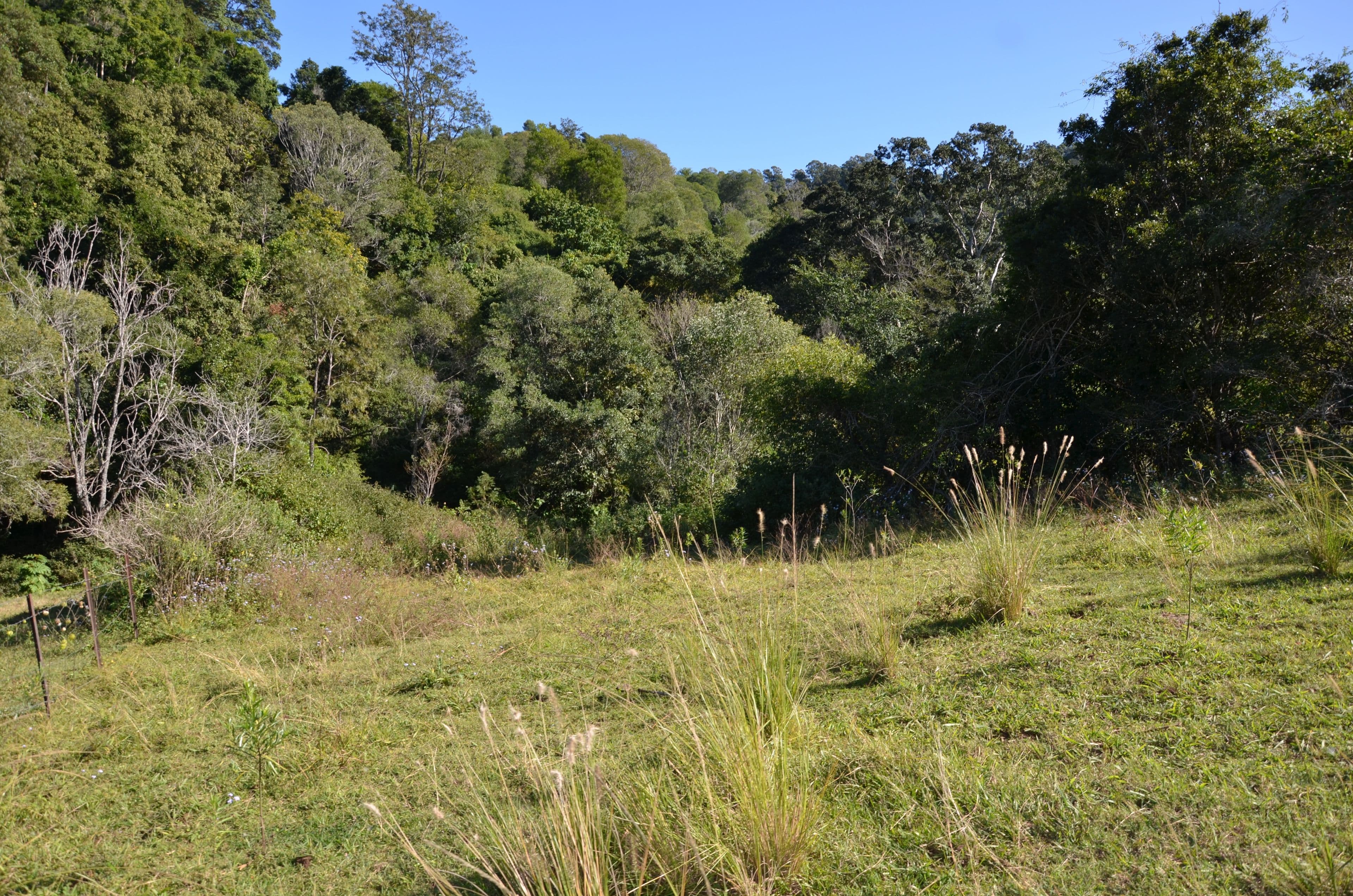 Rush Creek QLD 4521, Rush Creek - Thumbnail 8