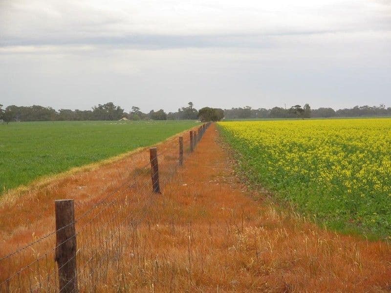 Lot 275 Pitcher Lane, Bordertown SA 5268, Bordertown - Thumbnail 7