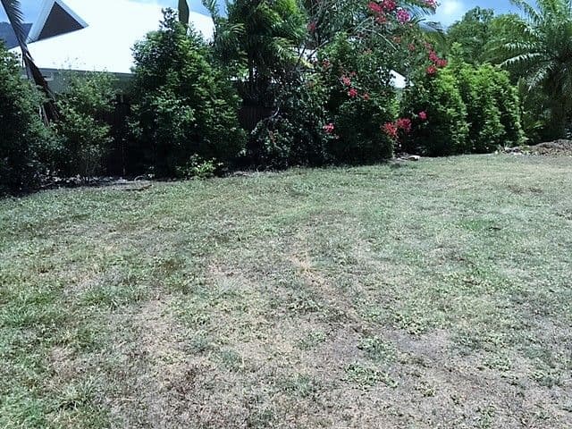 3 Cascade Drive, Port Douglas QLD 4877, Port Douglas - Thumbnail 5