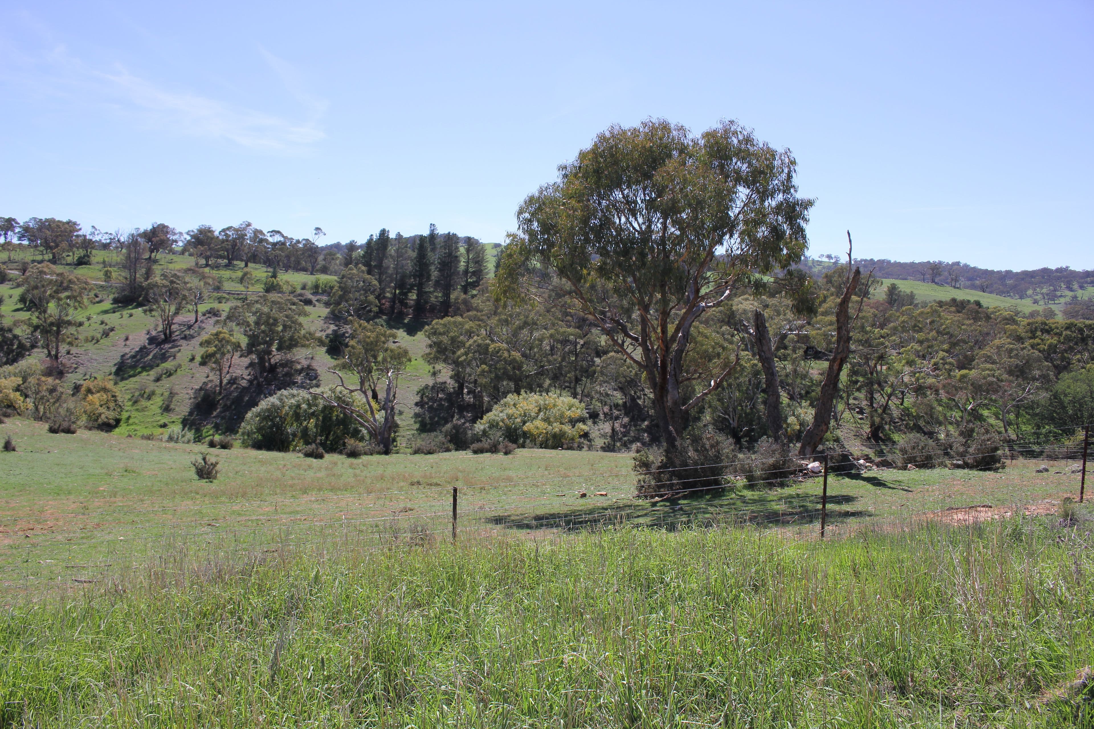Rockley NSW 2795, Rockley - Thumbnail 6