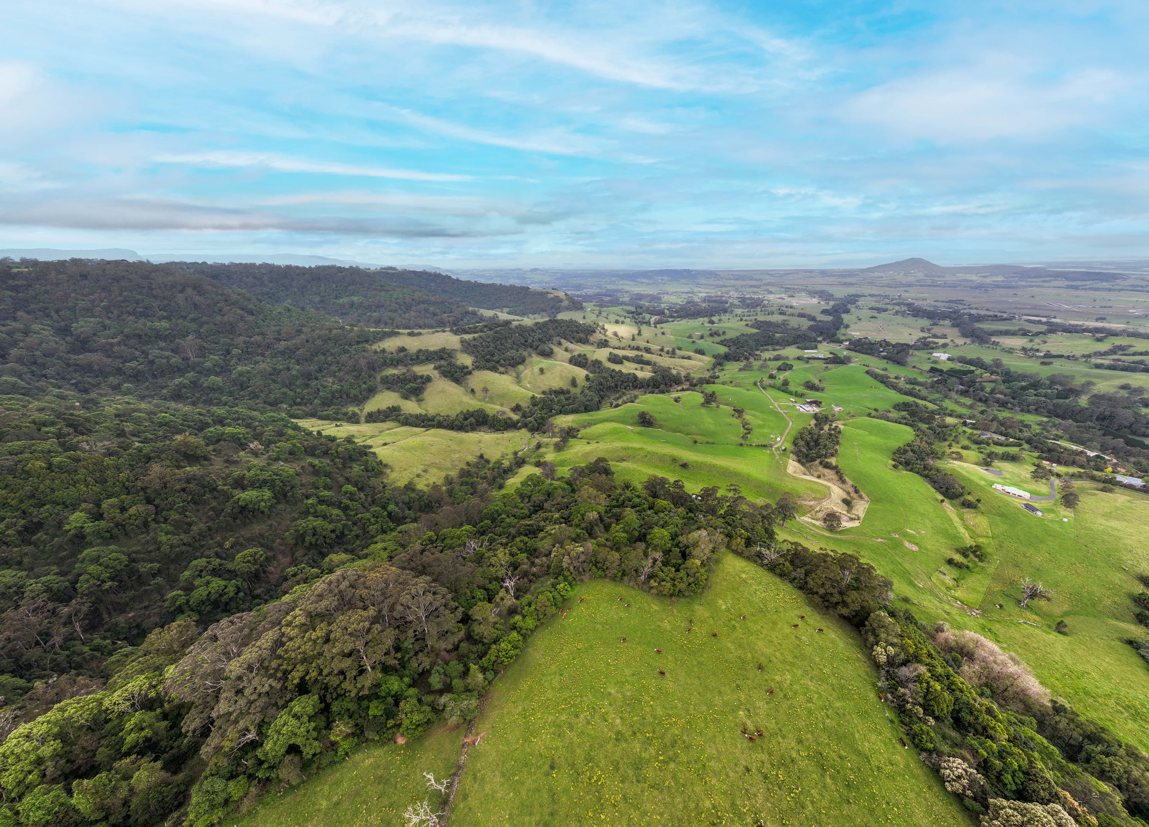 245 Croziers Road, Jaspers Brush NSW 2535, Jaspers Brush - Thumbnail 8