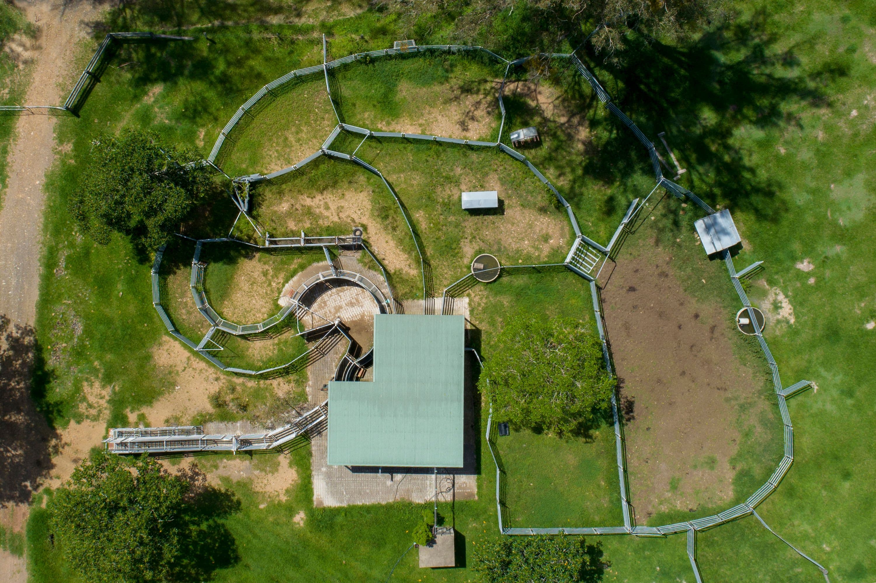 392 Moorina Road, Moorina QLD 4506, Moorina - Thumbnail 5