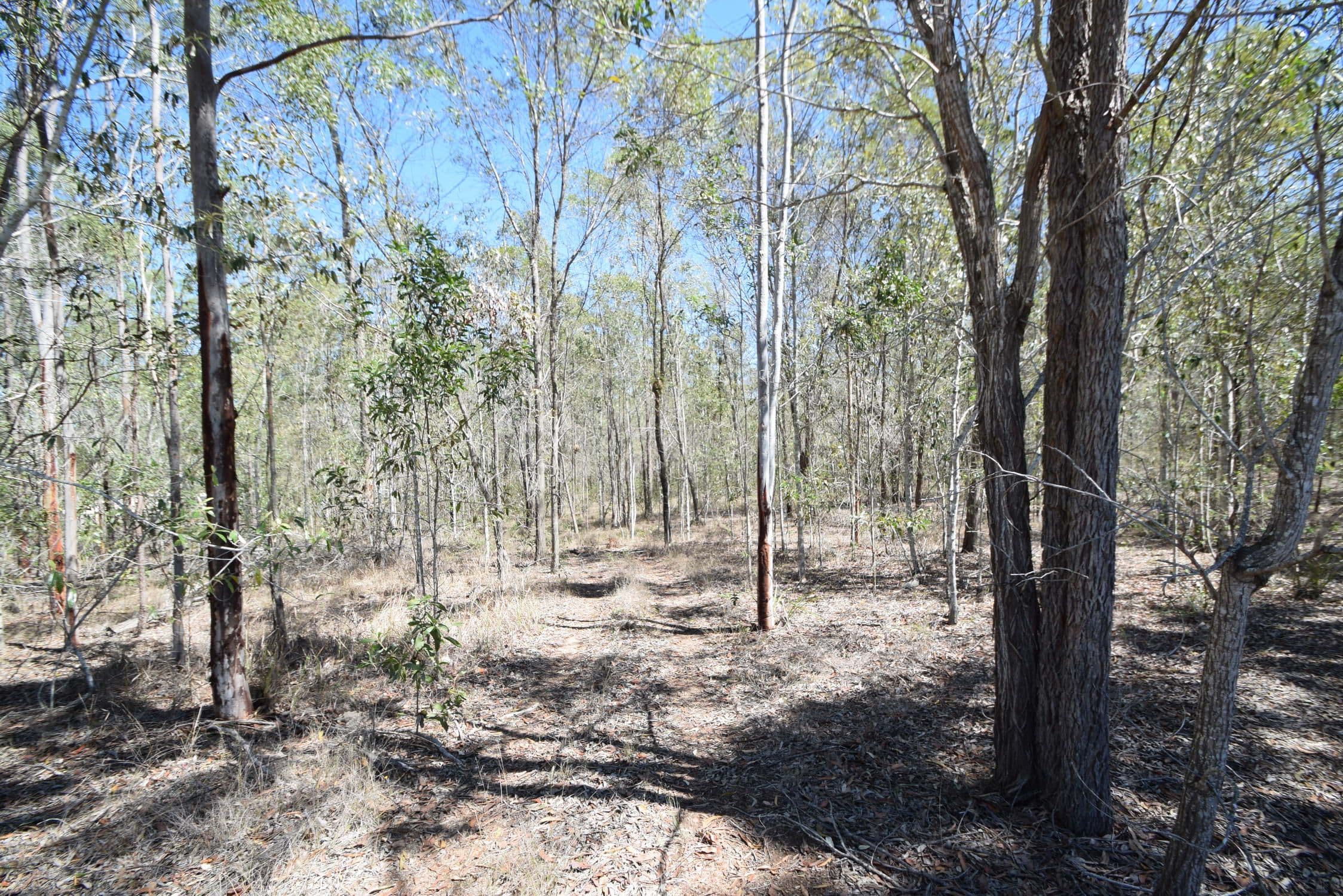 27 Royal Drive, Mount Hallen QLD 4312, Mount Hallen - Thumbnail 4