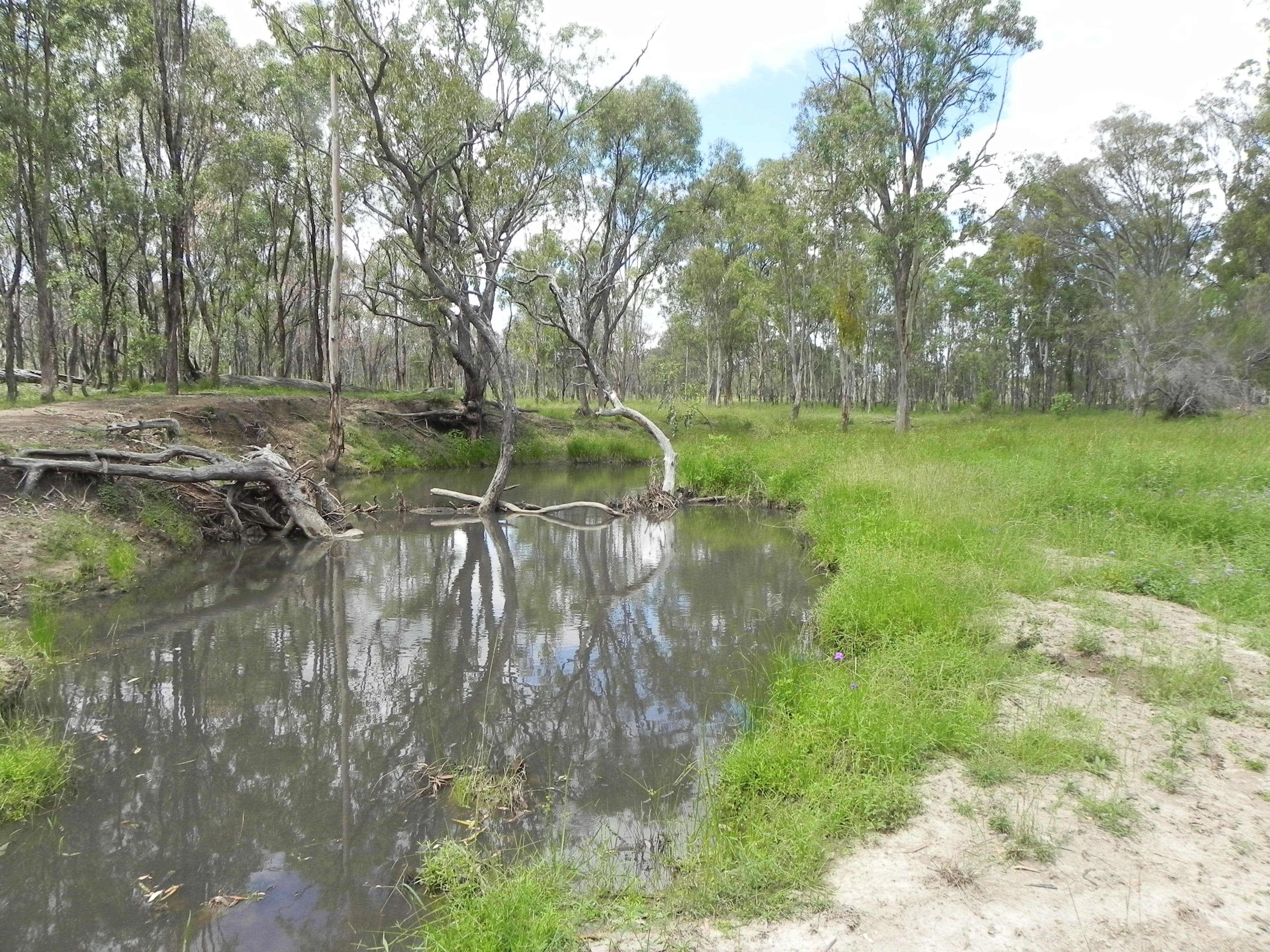 0 Cunningham Highway, Greymare QLD 4370, Greymare - Thumbnail 8