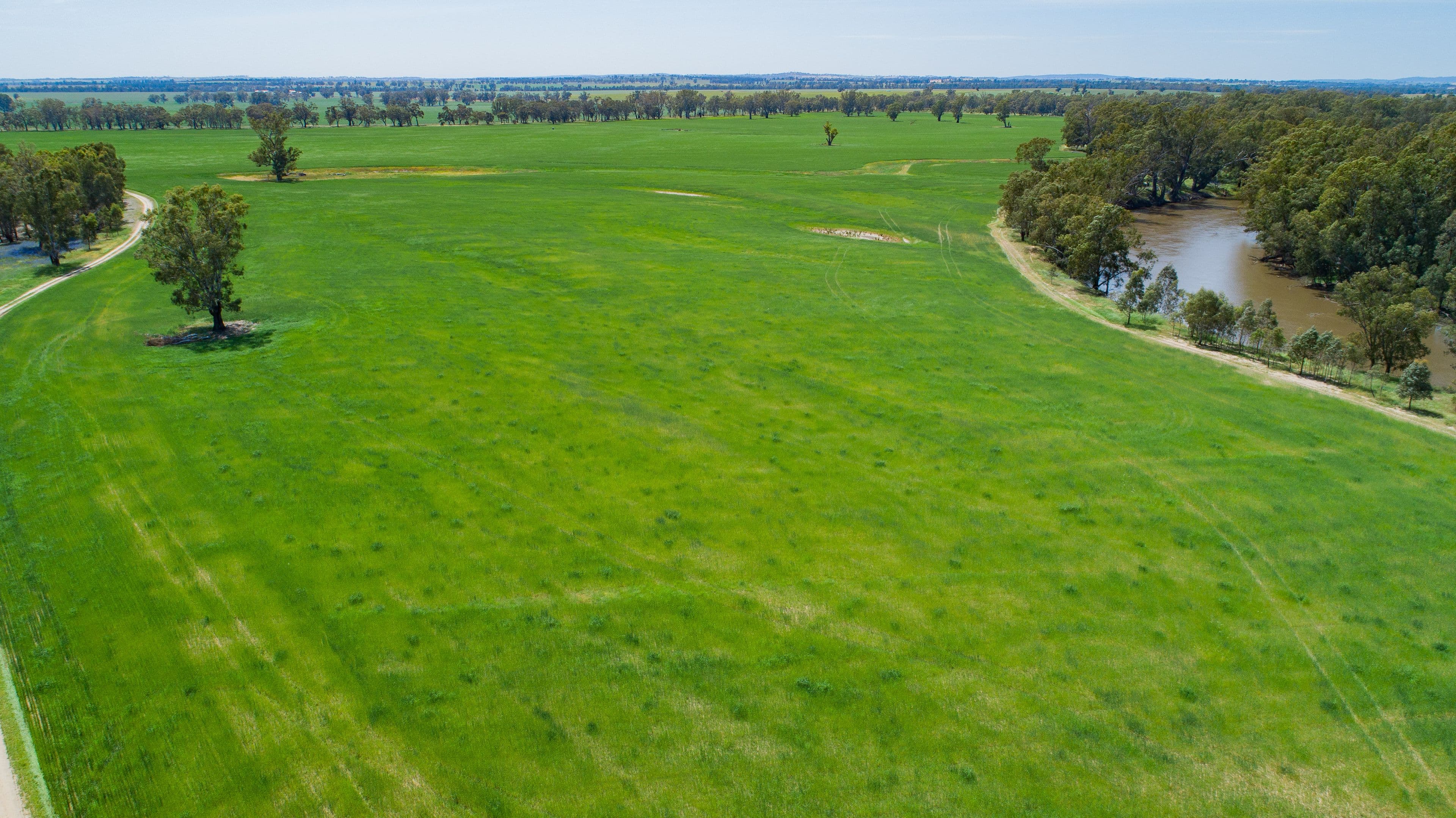 Wagga Wagga NSW 2650, Wagga Wagga - Thumbnail 5