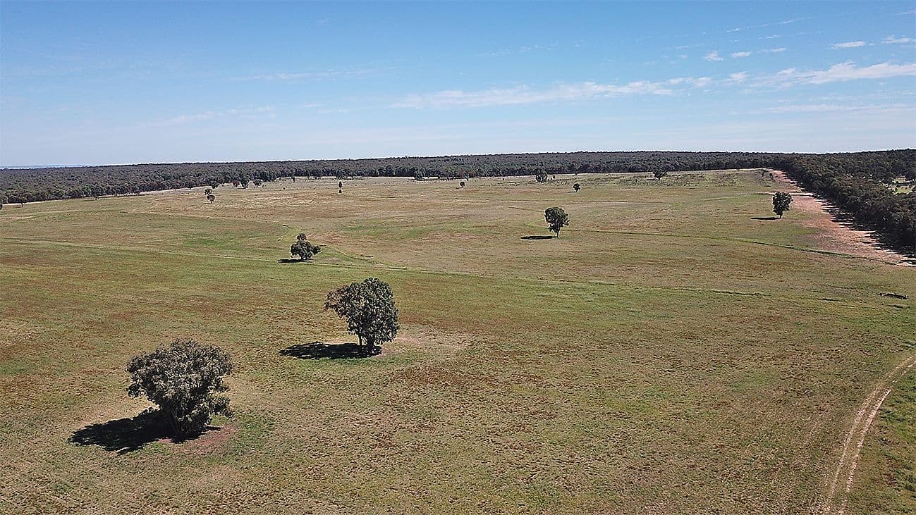 ' WALLINGA', COONABARABRAN NSW 2357, Coonabarabran - Thumbnail 8
