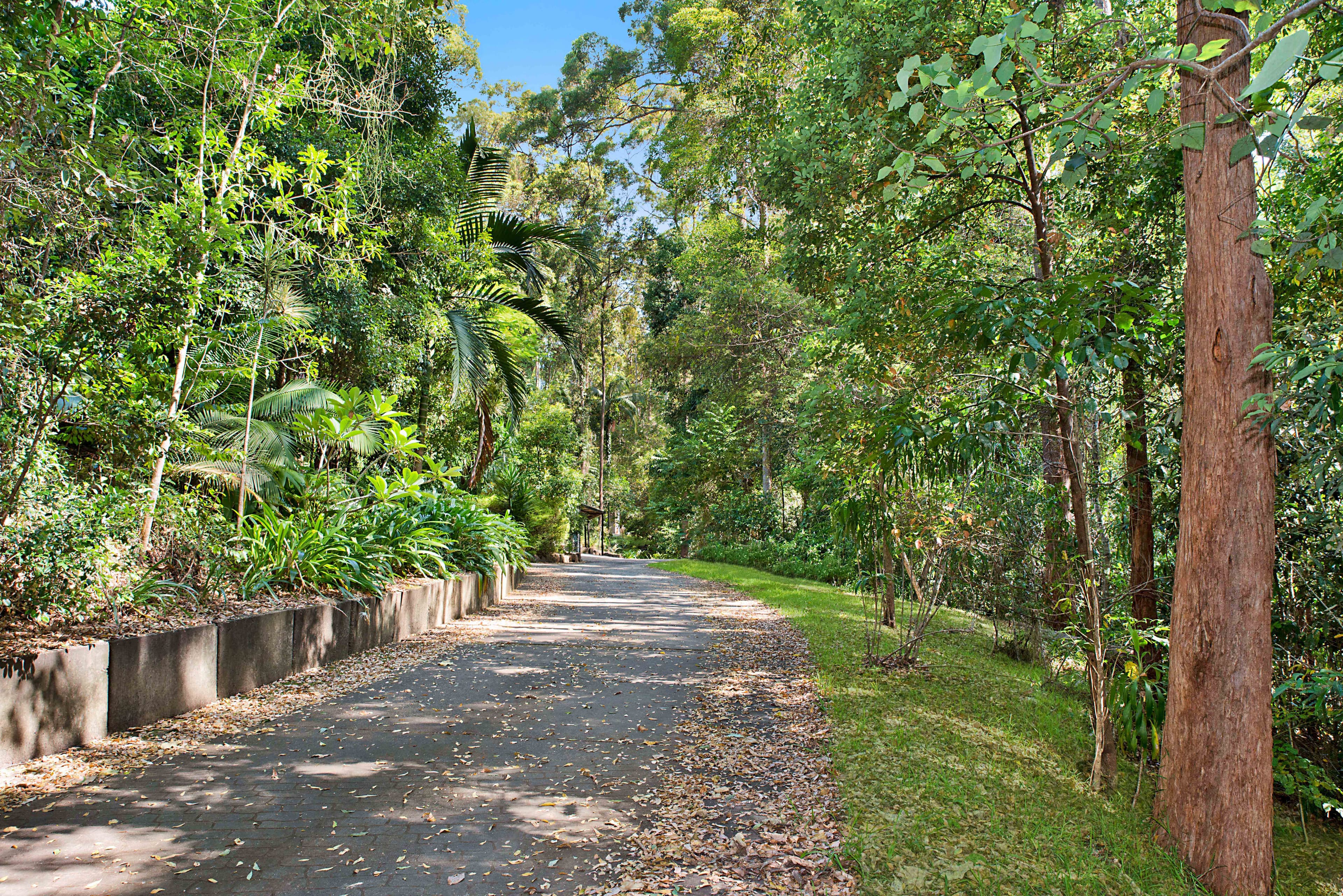 46 Toulambi Drive, Buderim QLD 4556, Buderim - Image 1