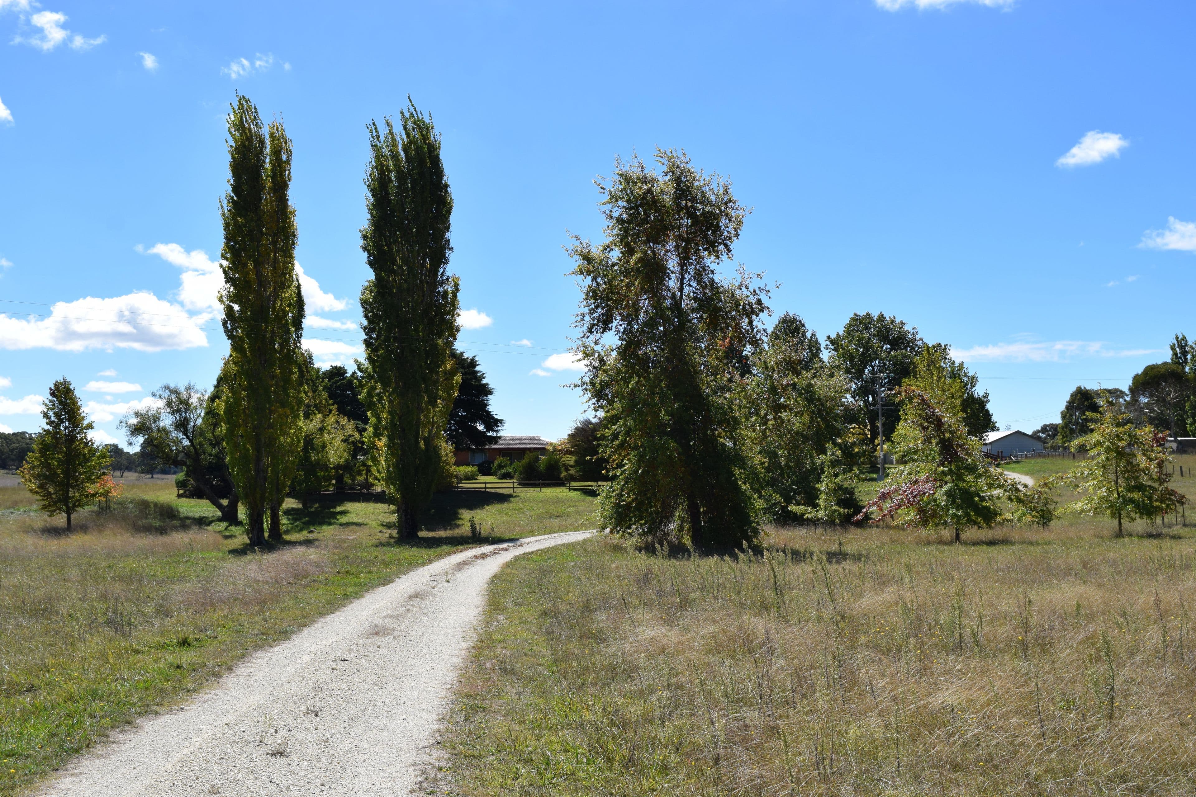 Sabons 426 Baldersleigh Road, Guyra NSW 2365, Guyra - Thumbnail 3