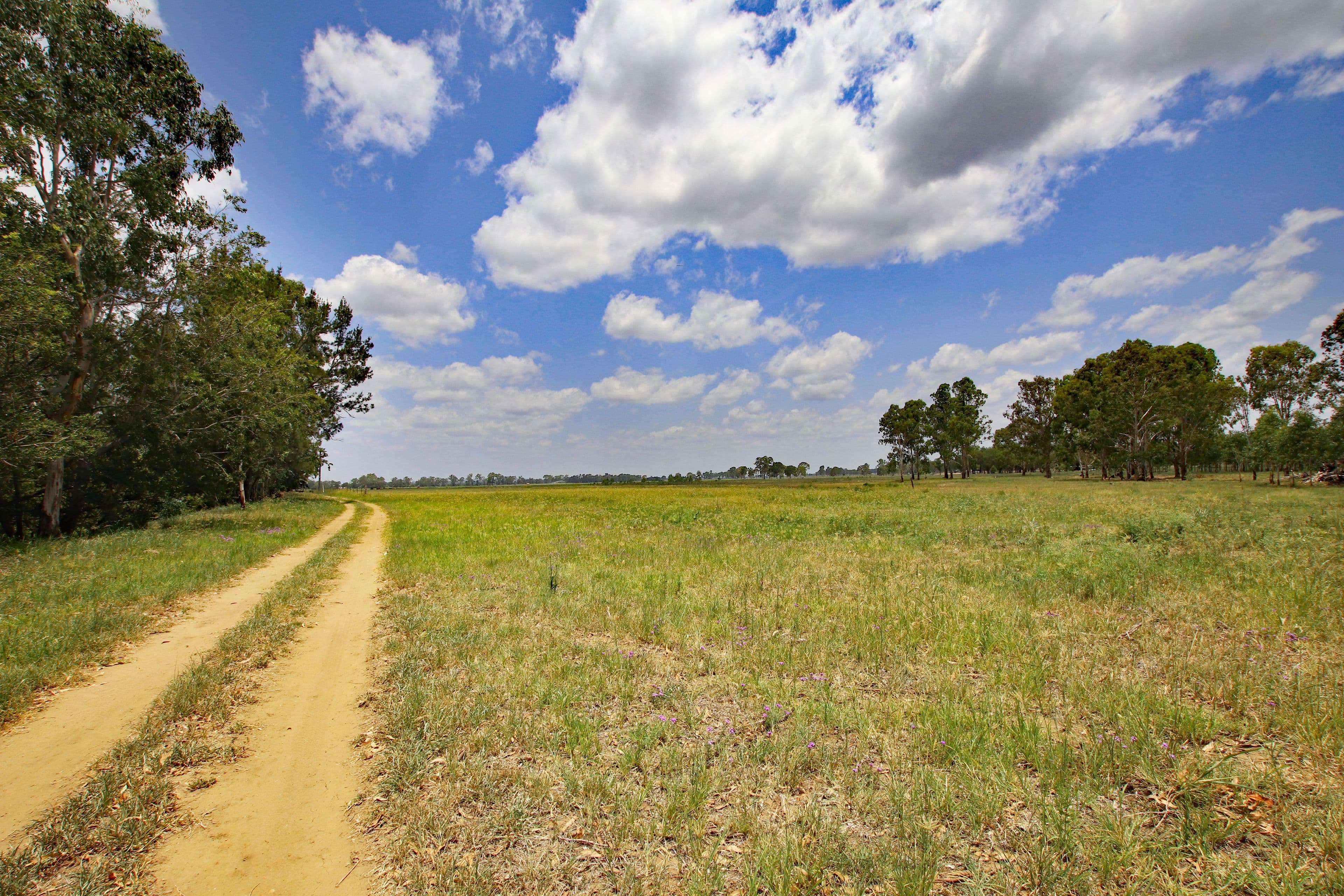 239 Golf Links Road, Monto QLD 4630, Monto - Thumbnail 8