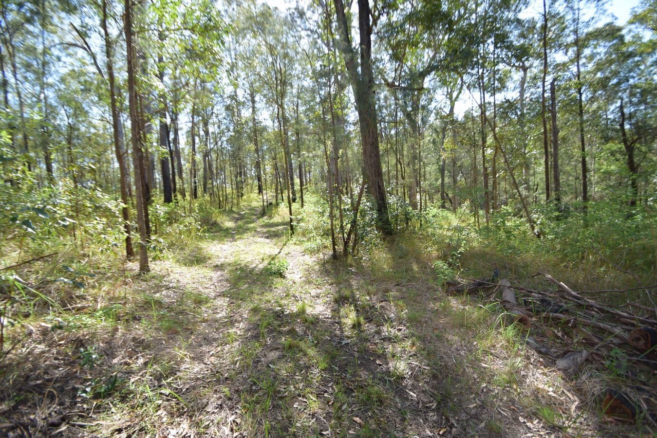 282 Whipbird Drive, Buaraba QLD 4311, Buaraba - Thumbnail 8