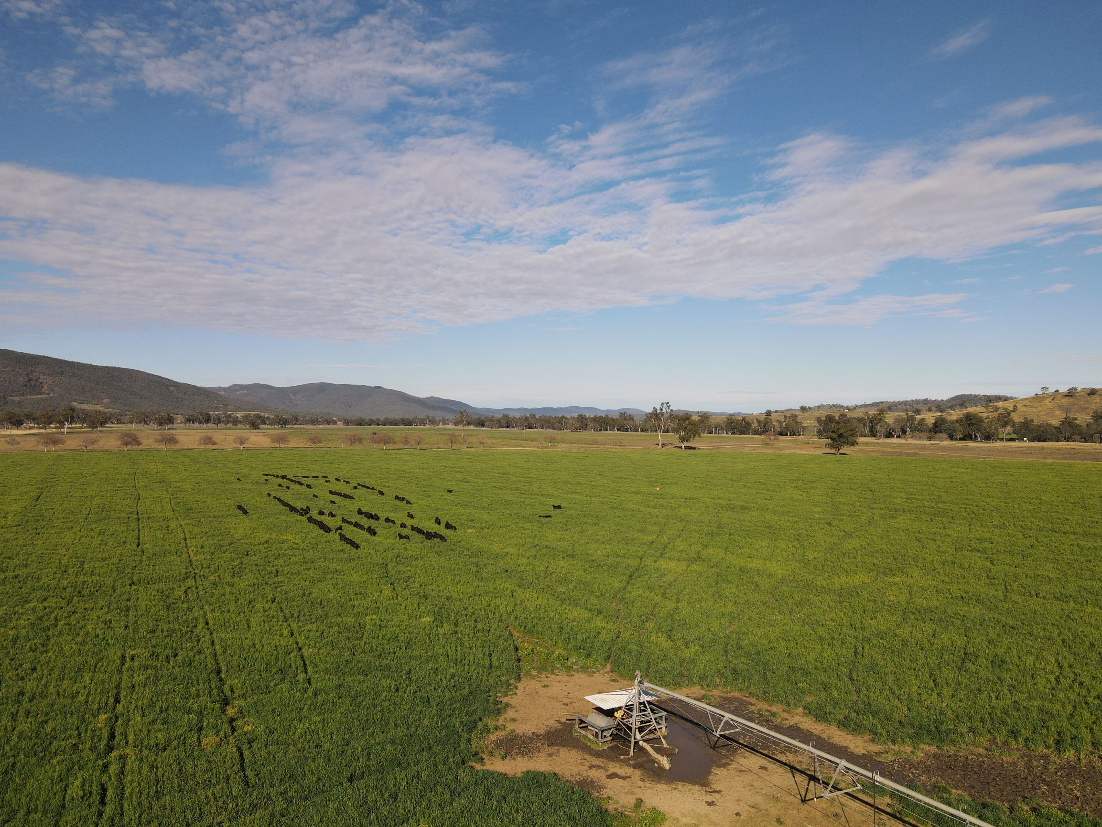 7459 Bruxner Way, Tenterfield NSW 2372, Tenterfield - Thumbnail 5