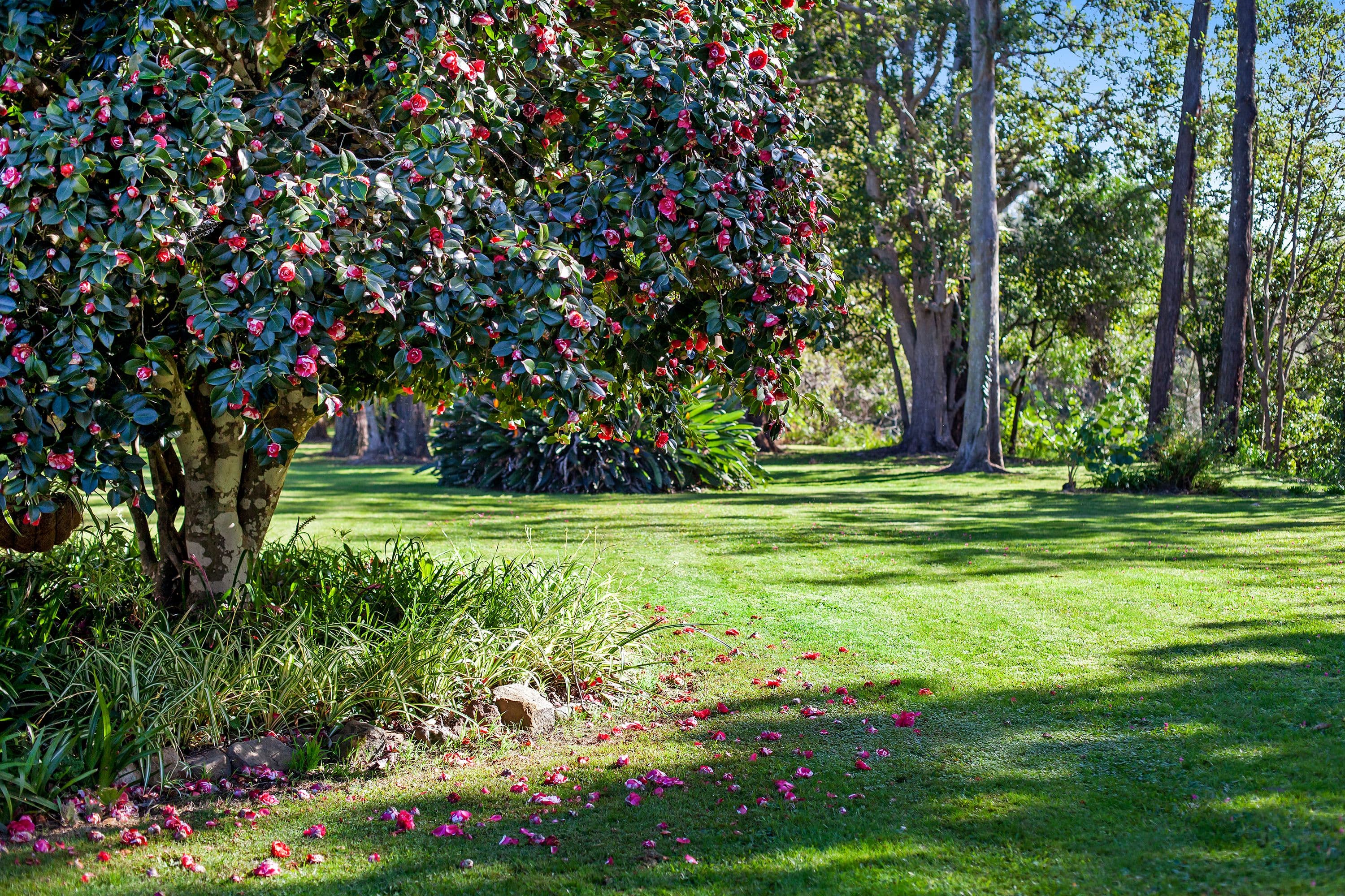 55 McPherson Road, Mardi NSW 2259, Mardi - Thumbnail 8