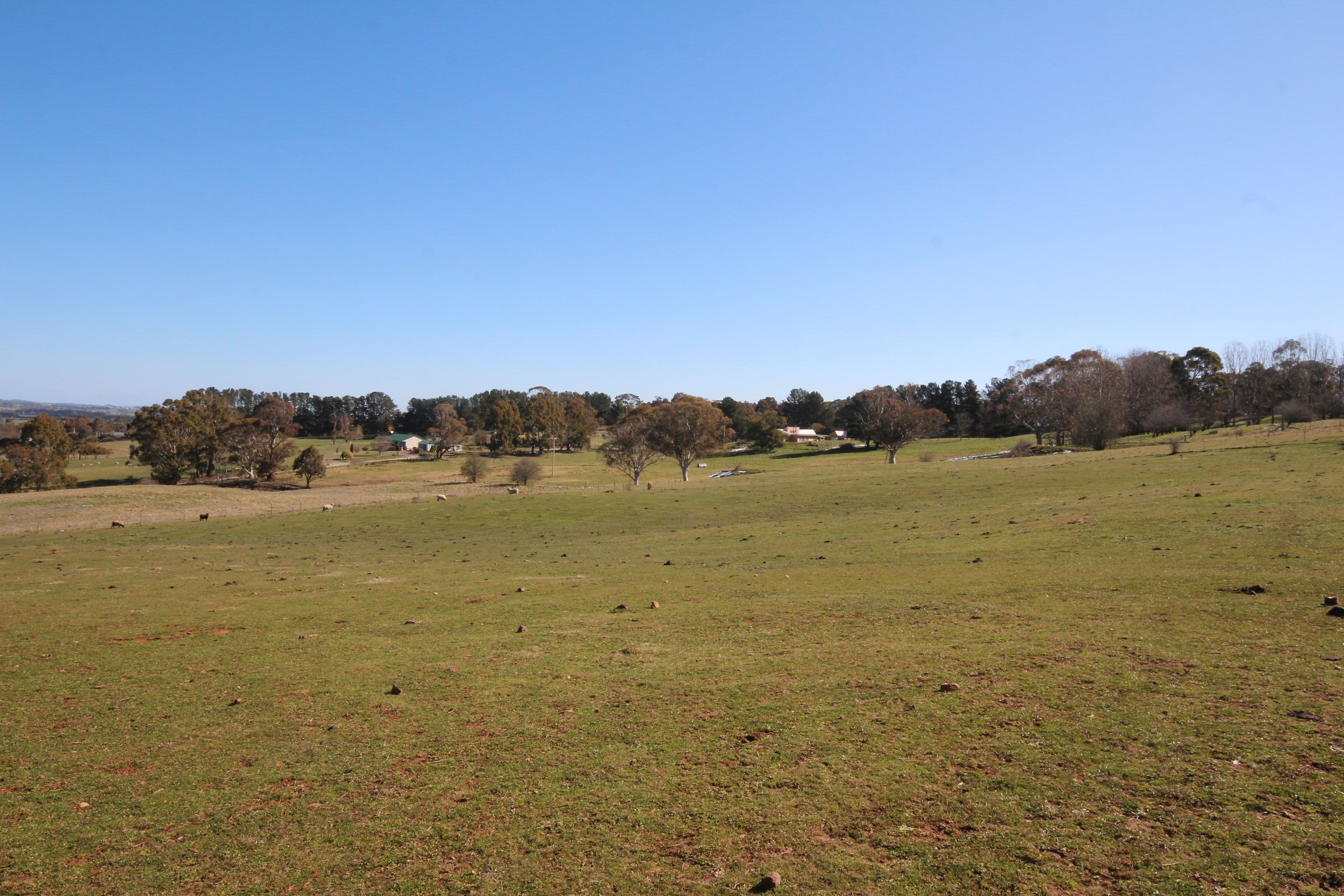 40 The Reef Road, Oberon NSW 2787, Oberon - Thumbnail 4