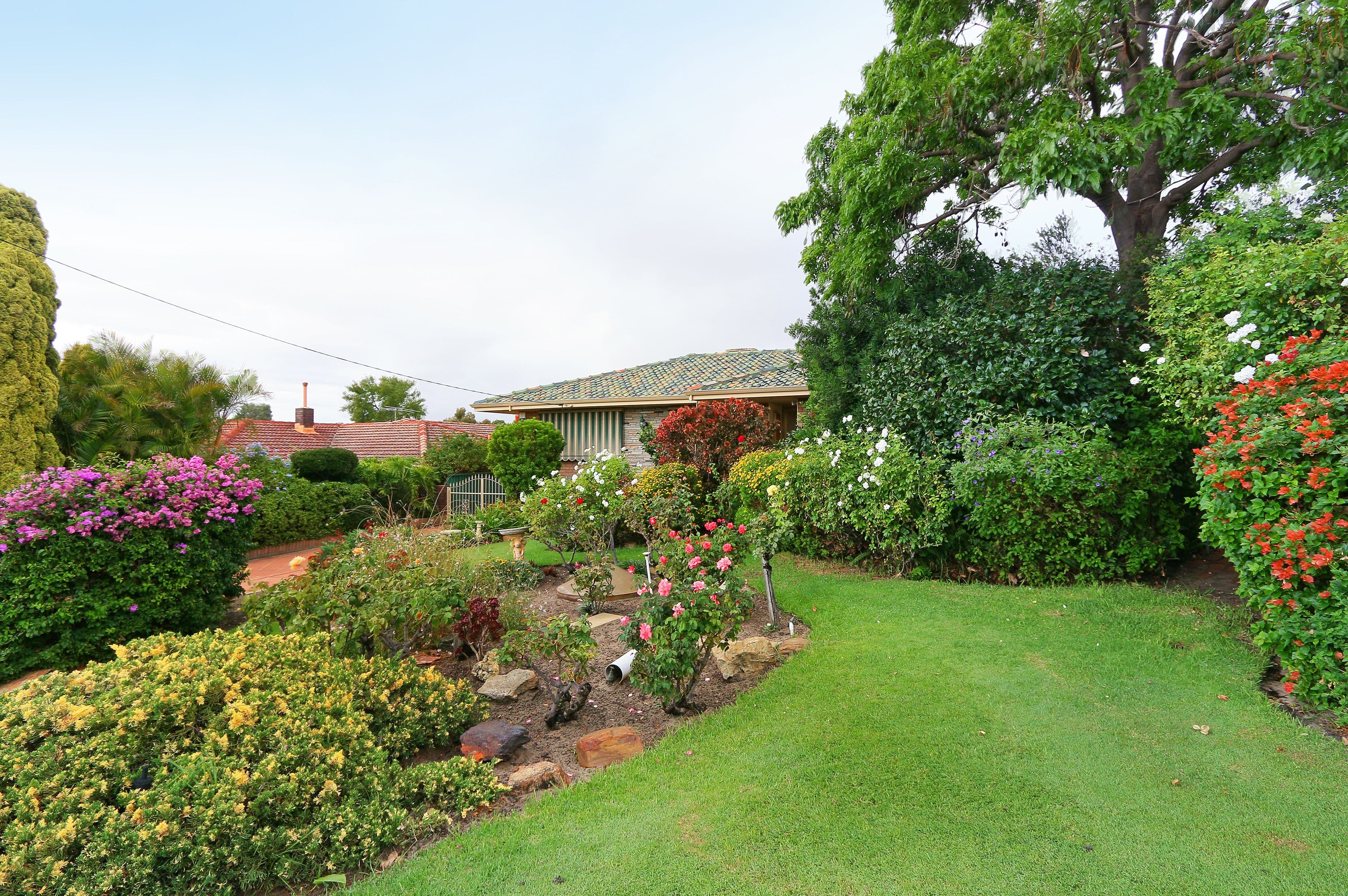 31 Mandora Way, Riverton WA 6148, Riverton - Thumbnail 4