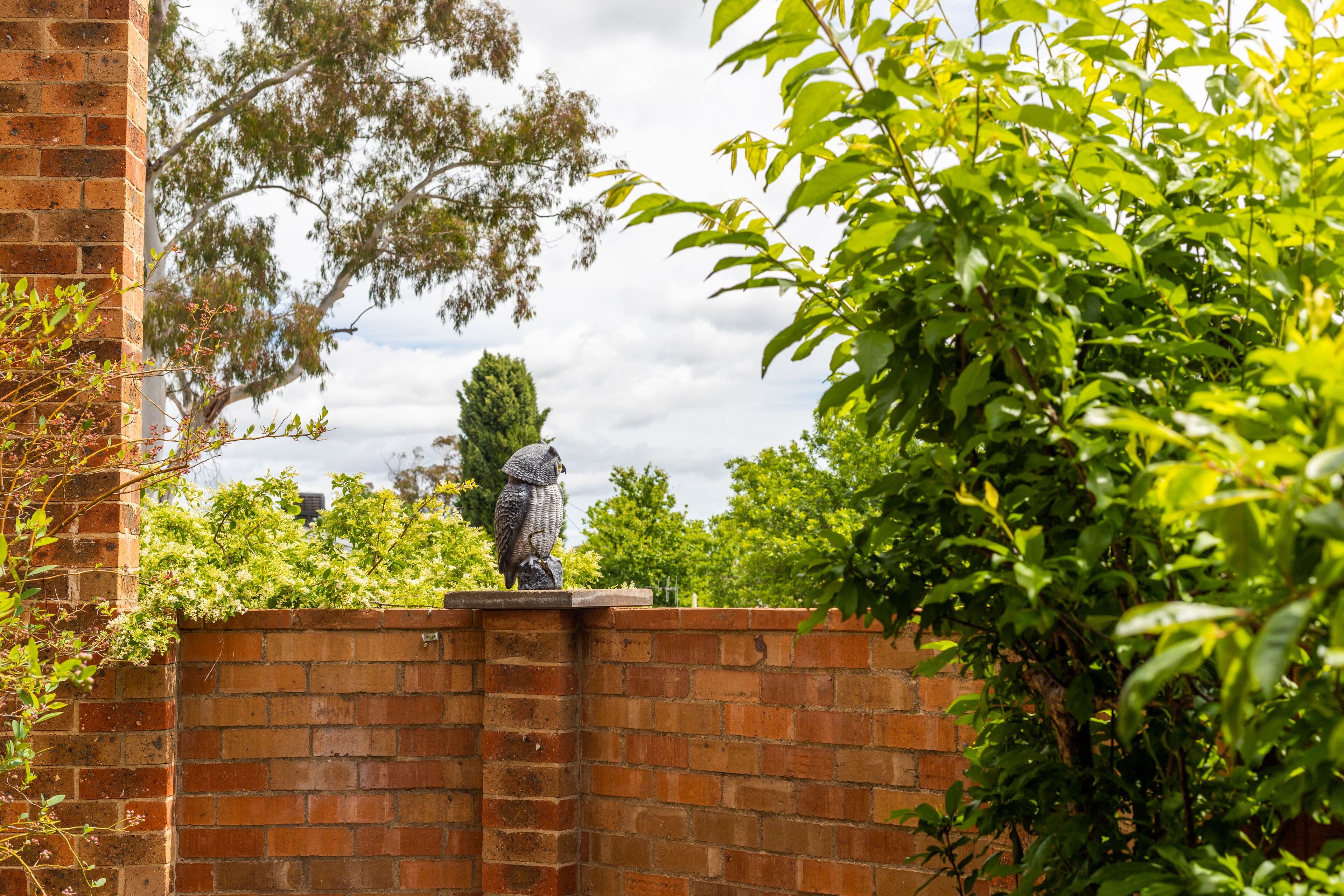 48 Dalley Crescent, Latham ACT 2615, Latham - Thumbnail 6