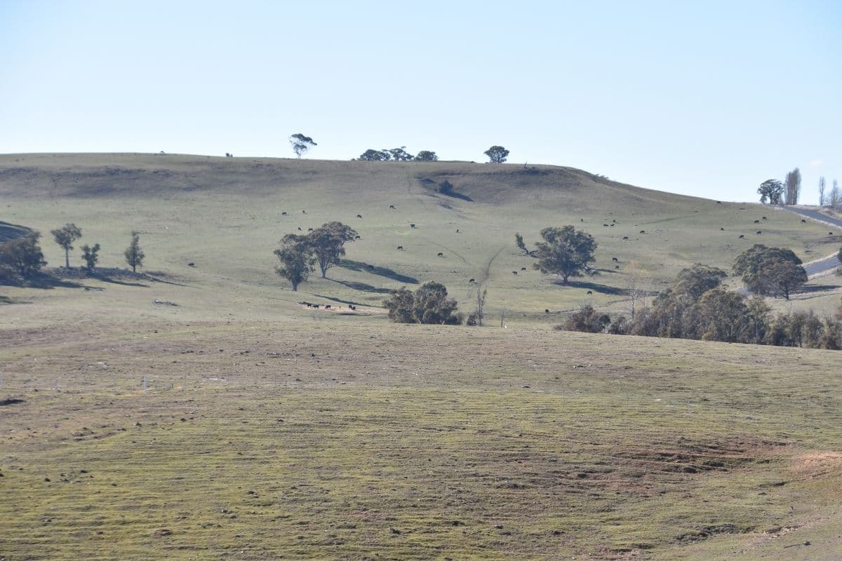 6466 Abercrombie Road, Oberon NSW 2787, Oberon - Thumbnail 6