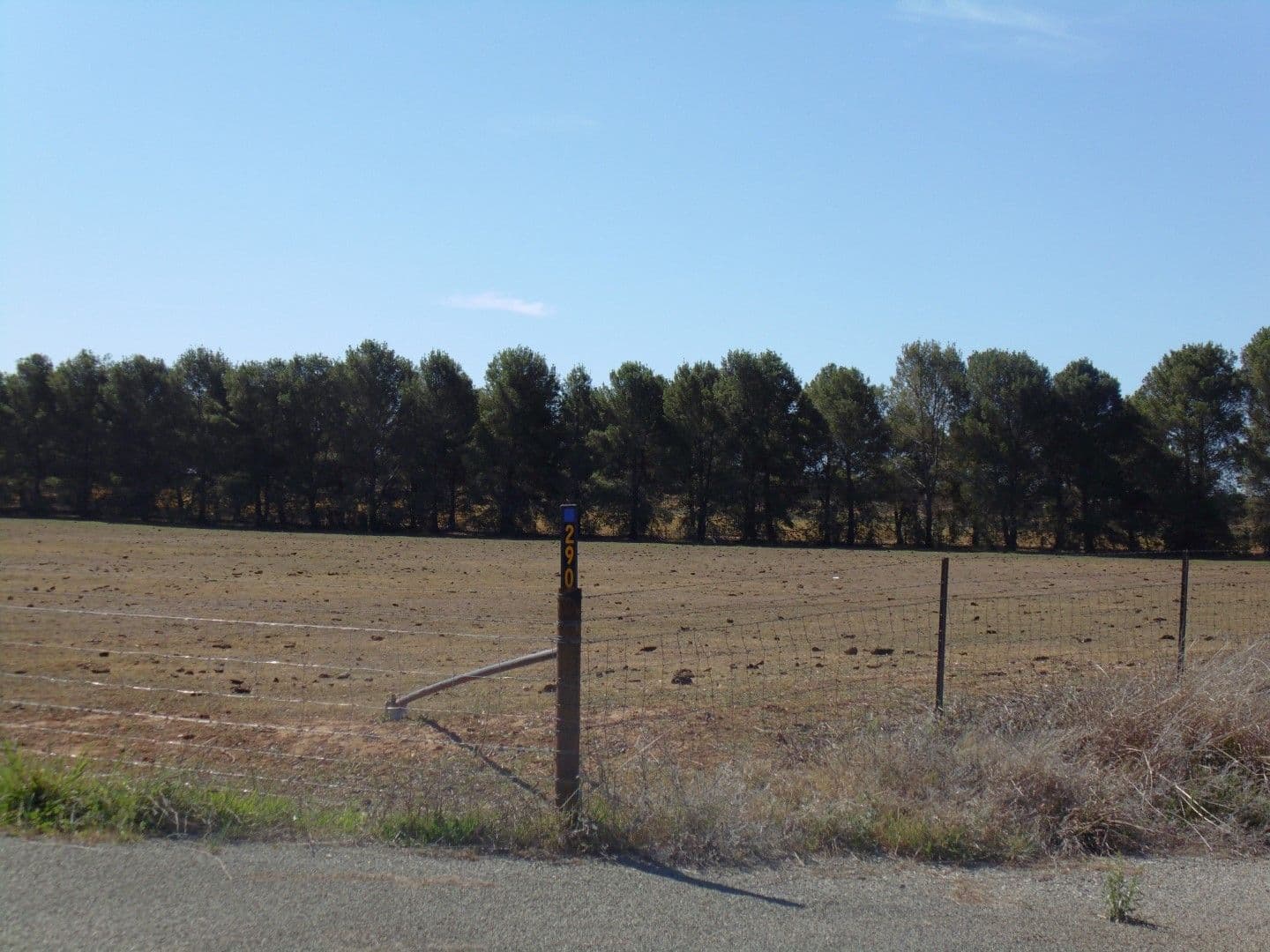 290 Back Yamma Road, Parkes - Thumbnail 4