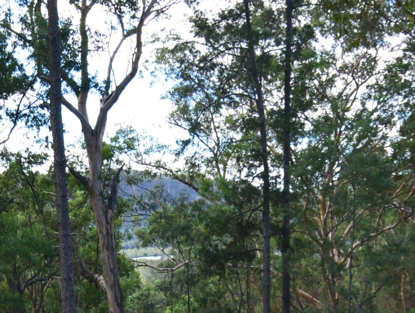 4814 Wisemans Ferry Road, Spencer NSW 2775, Spencer - Thumbnail 2