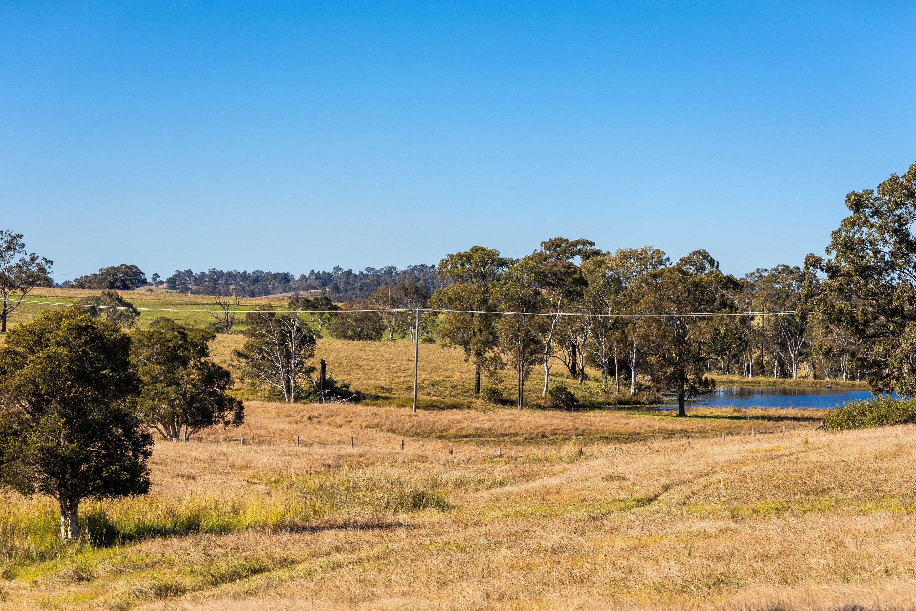 58 Nowendoc Road, Killawarra NSW 2429, Killawarra - Thumbnail 6